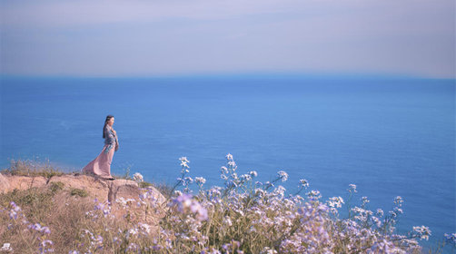 <a target='_blank' href='https://bbs.youxiake.com/mdd/24.html'>花鸟岛</a>