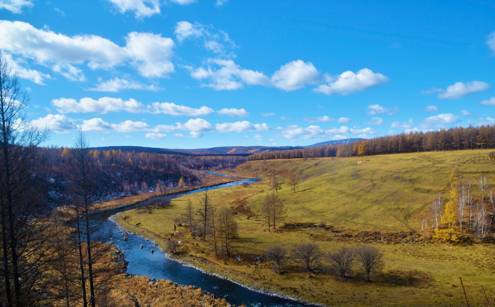 <a target='_blank' href='https://www.youxiake.com/gonglue/view?id=3344'>阿尔山</a>