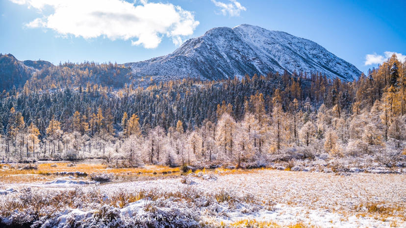 <a target='_blank' href='https://bbs.youxiake.com/mdd/872.html'>丹巴</a>