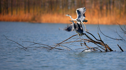 <a target='_blank' href='https://bbs.youxiake.com/mdd/58.html'>长兴</a>