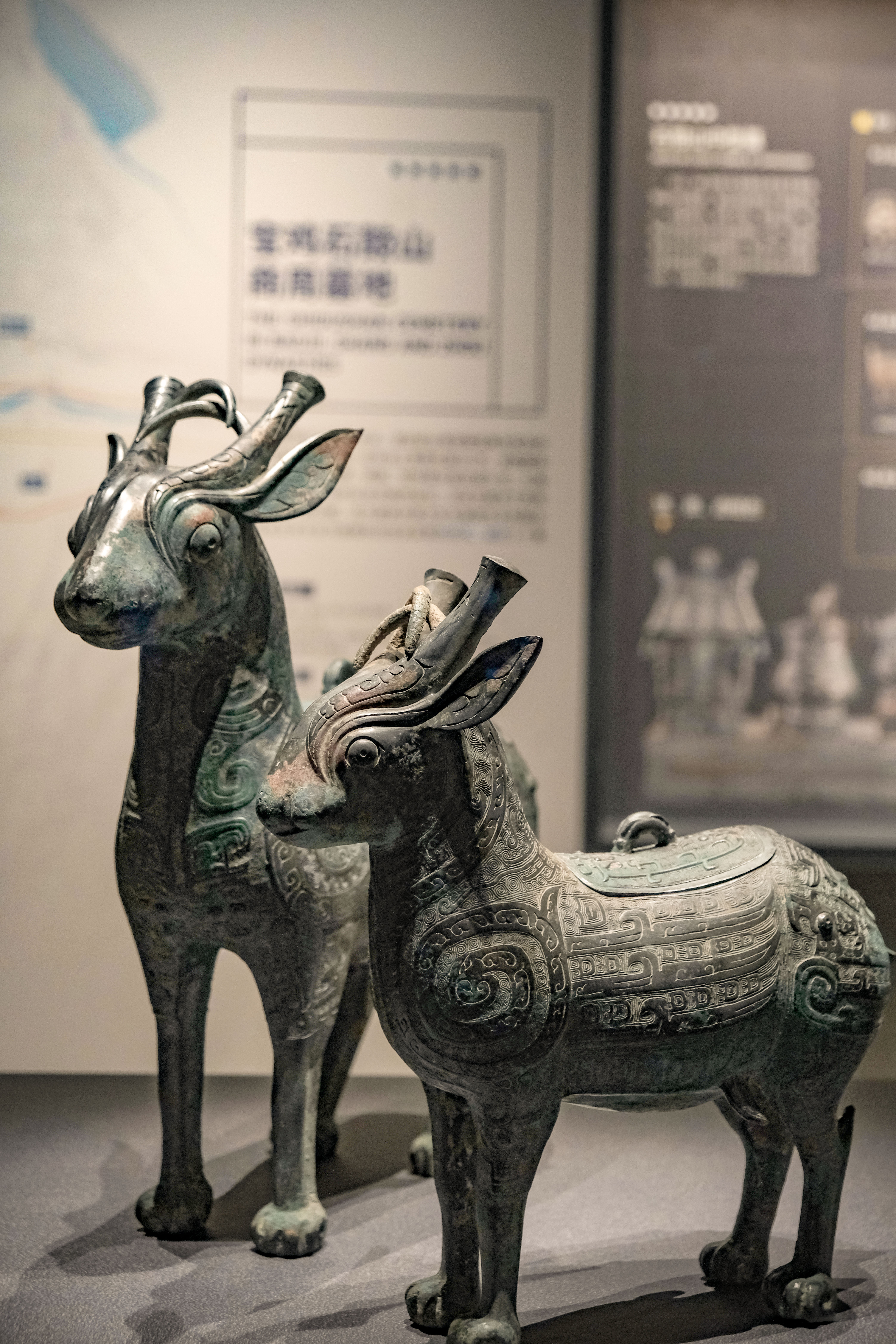 全国唯一的考古博物馆在西安隆重亮相,还有多少家底是大家不了解的!保姆级出行指南带你云游陕西考古博物馆!