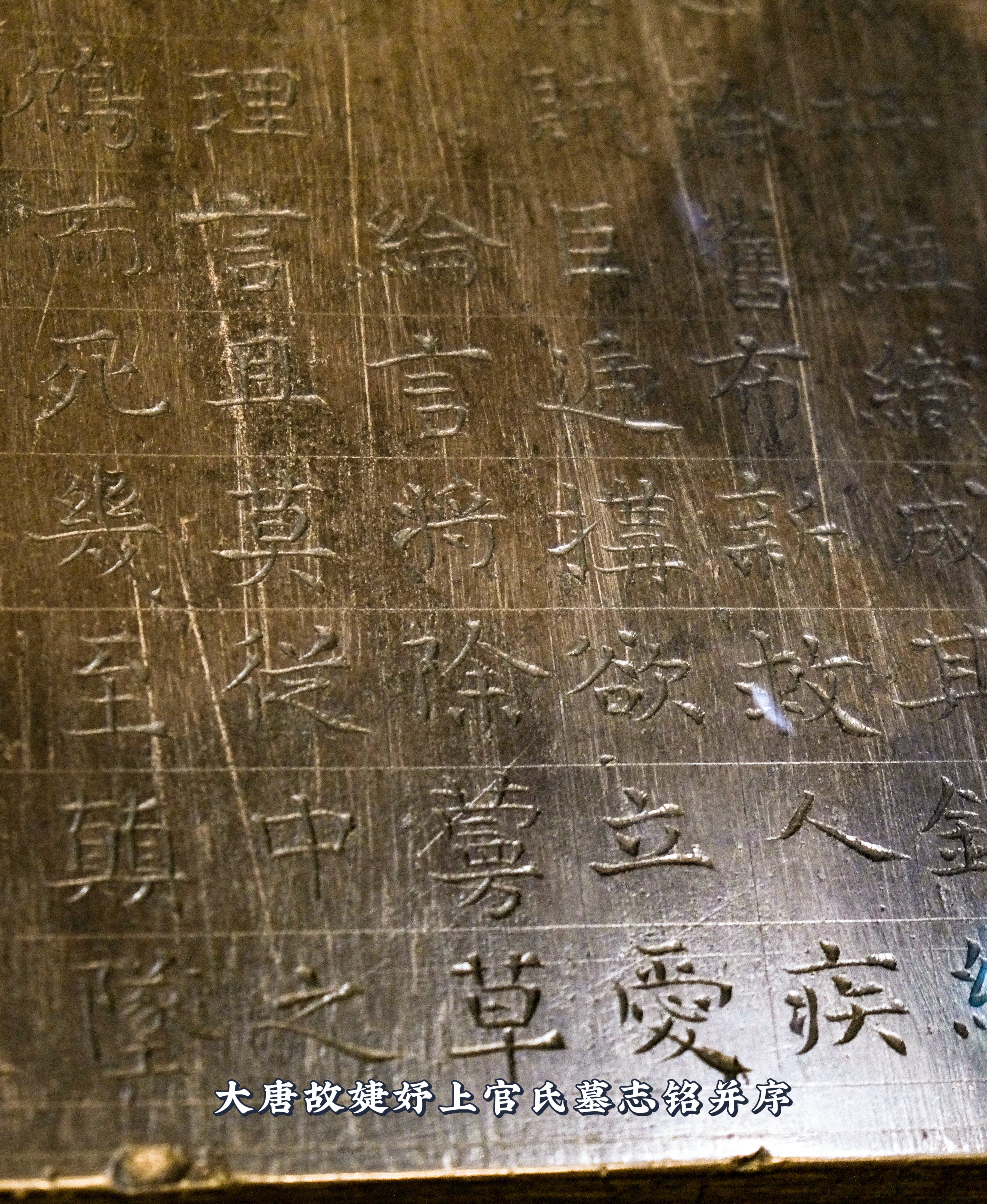 全国唯一的考古博物馆在西安隆重亮相,还有多少家底是大家不了解的!保姆级出行指南带你云游陕西考古博物馆!