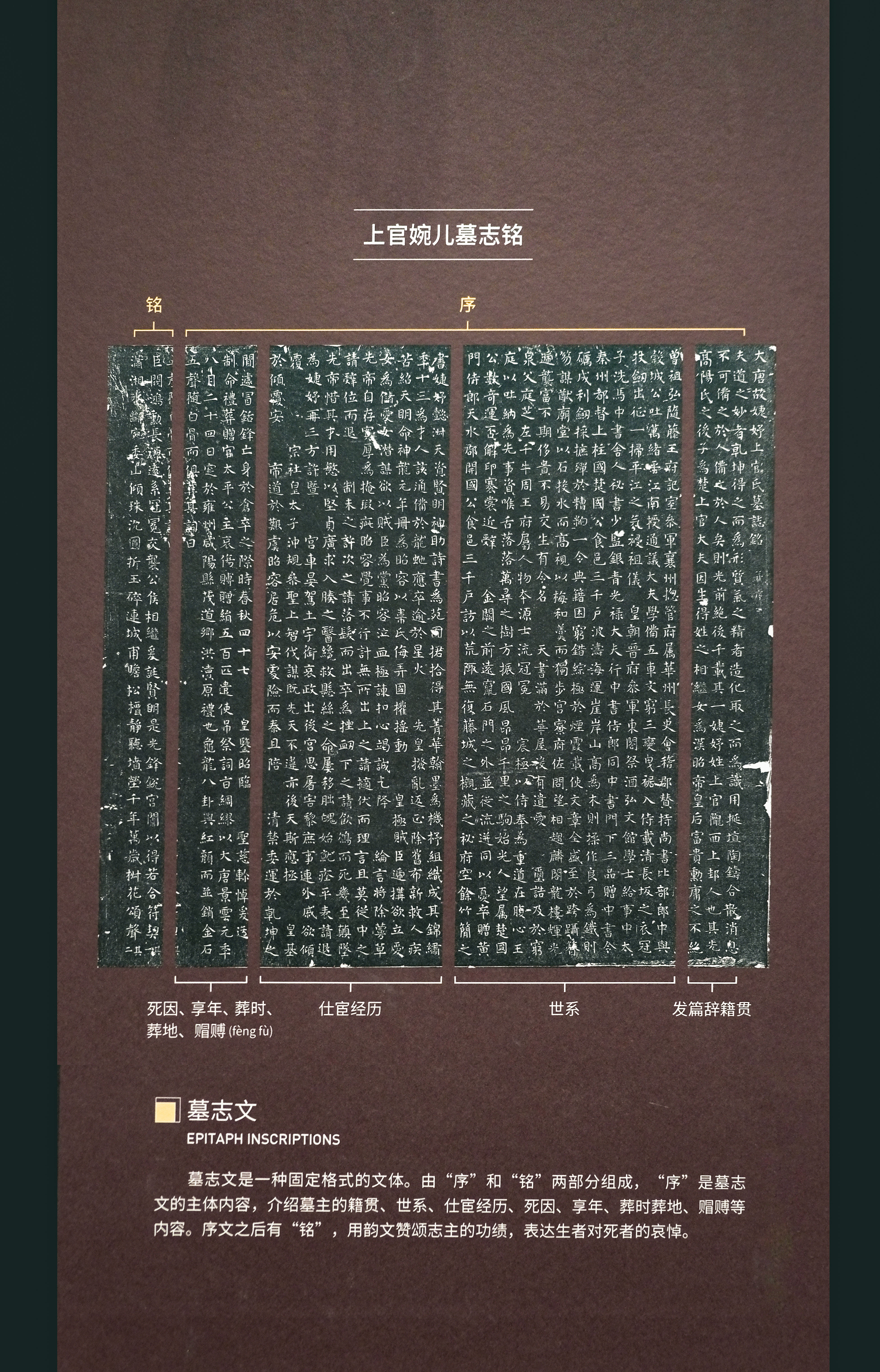 全国唯一的考古博物馆在西安隆重亮相,还有多少家底是大家不了解的!保姆级出行指南带你云游陕西考古博物馆!