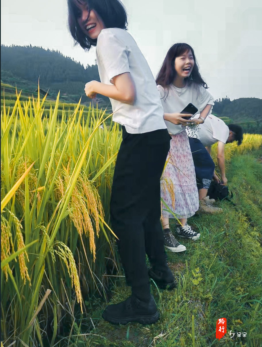 黔行东南丨旅途是一幅多彩的画卷