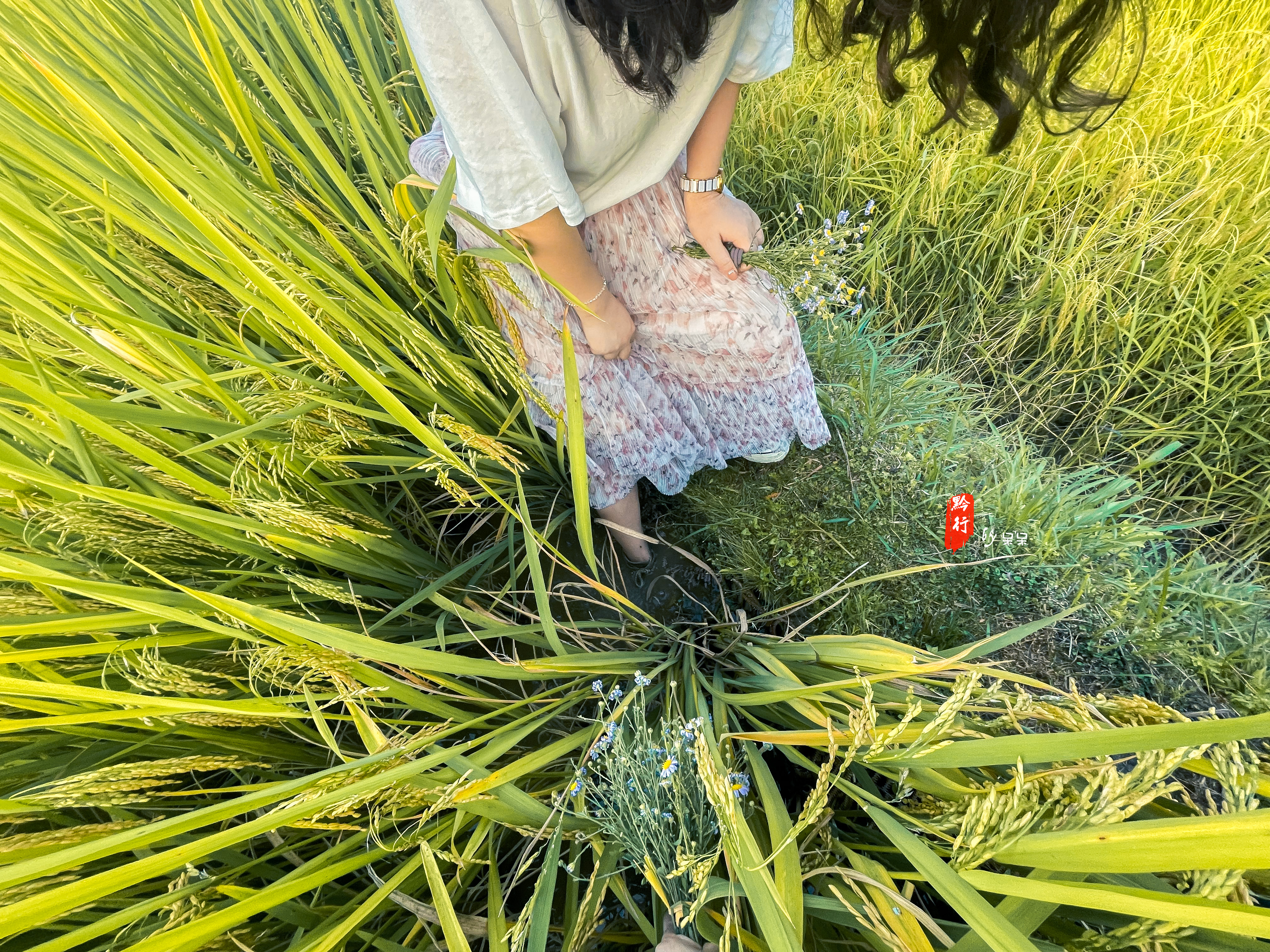 黔行东南丨旅途是一幅多彩的画卷