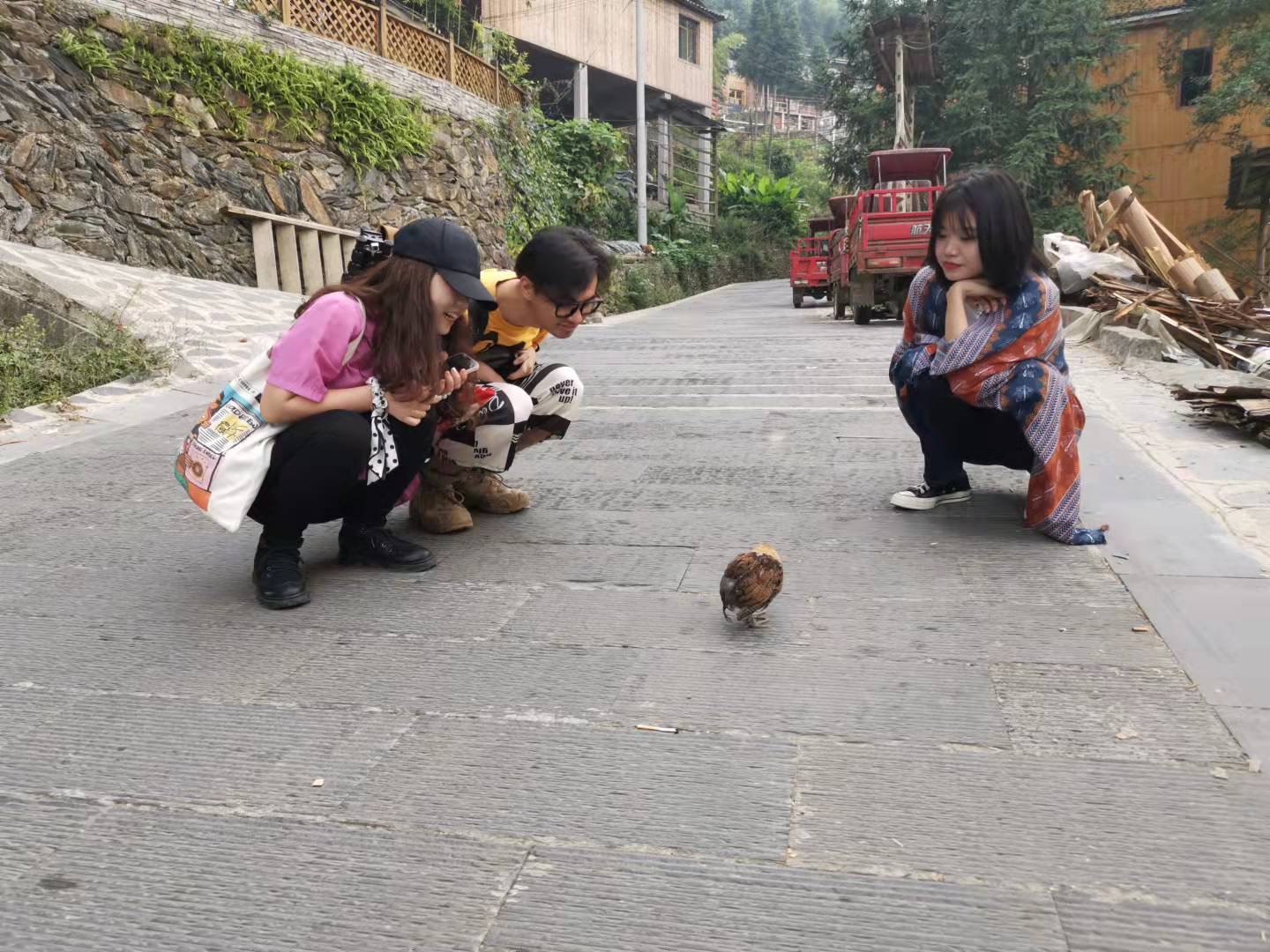 黔行东南丨旅途是一幅多彩的画卷
