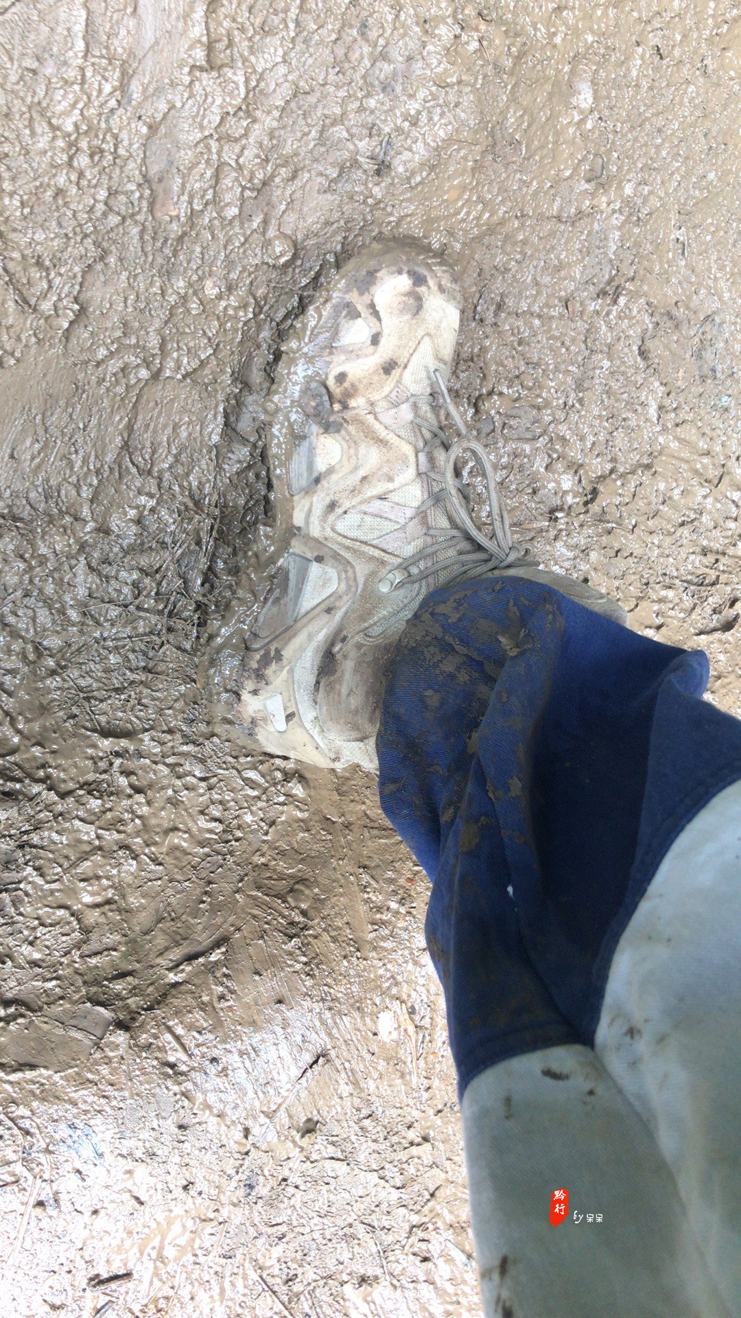 黔行东南丨旅途是一幅多彩的画卷