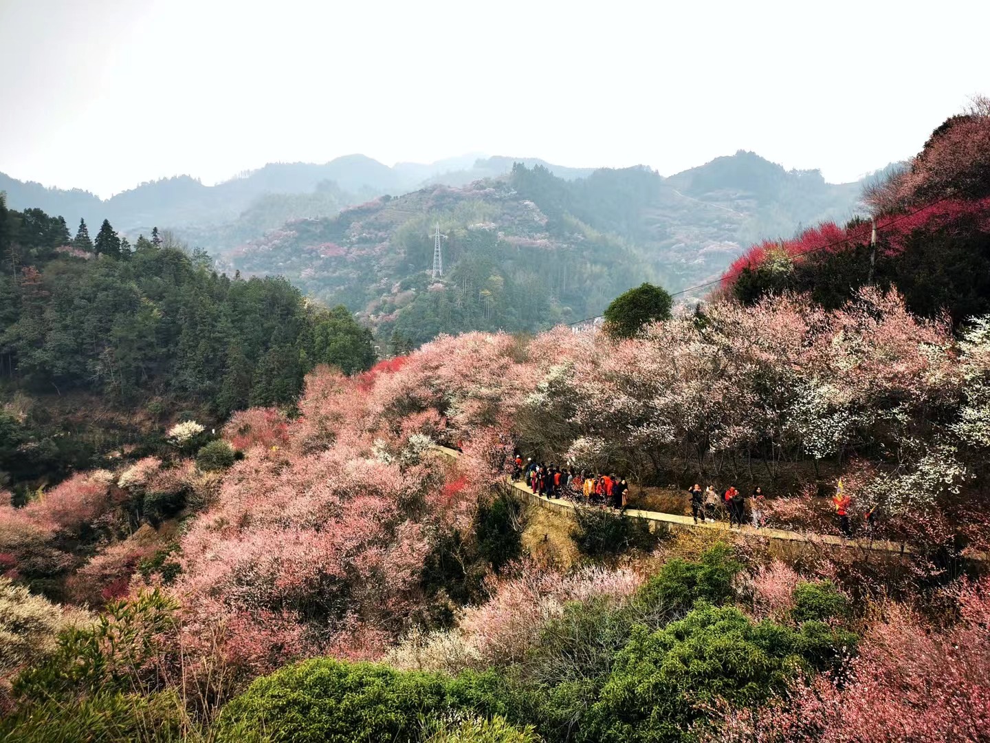 春盈歙县兴盛地,福满徽州浪漫天
