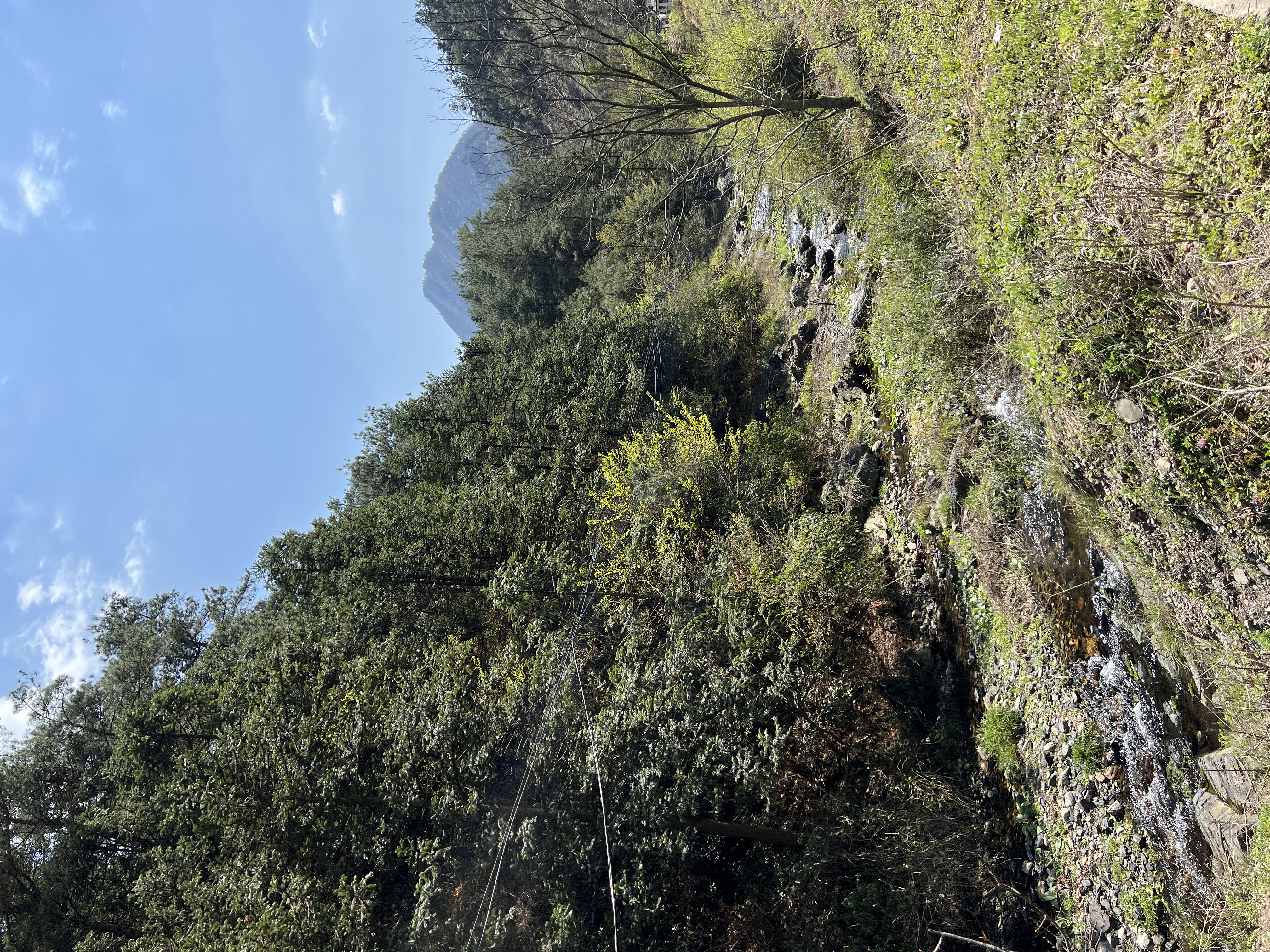 徽杭古道|徒步跨越两省，只为找寻大山里的熠熠星河-20230408~0409徽杭古道游记
