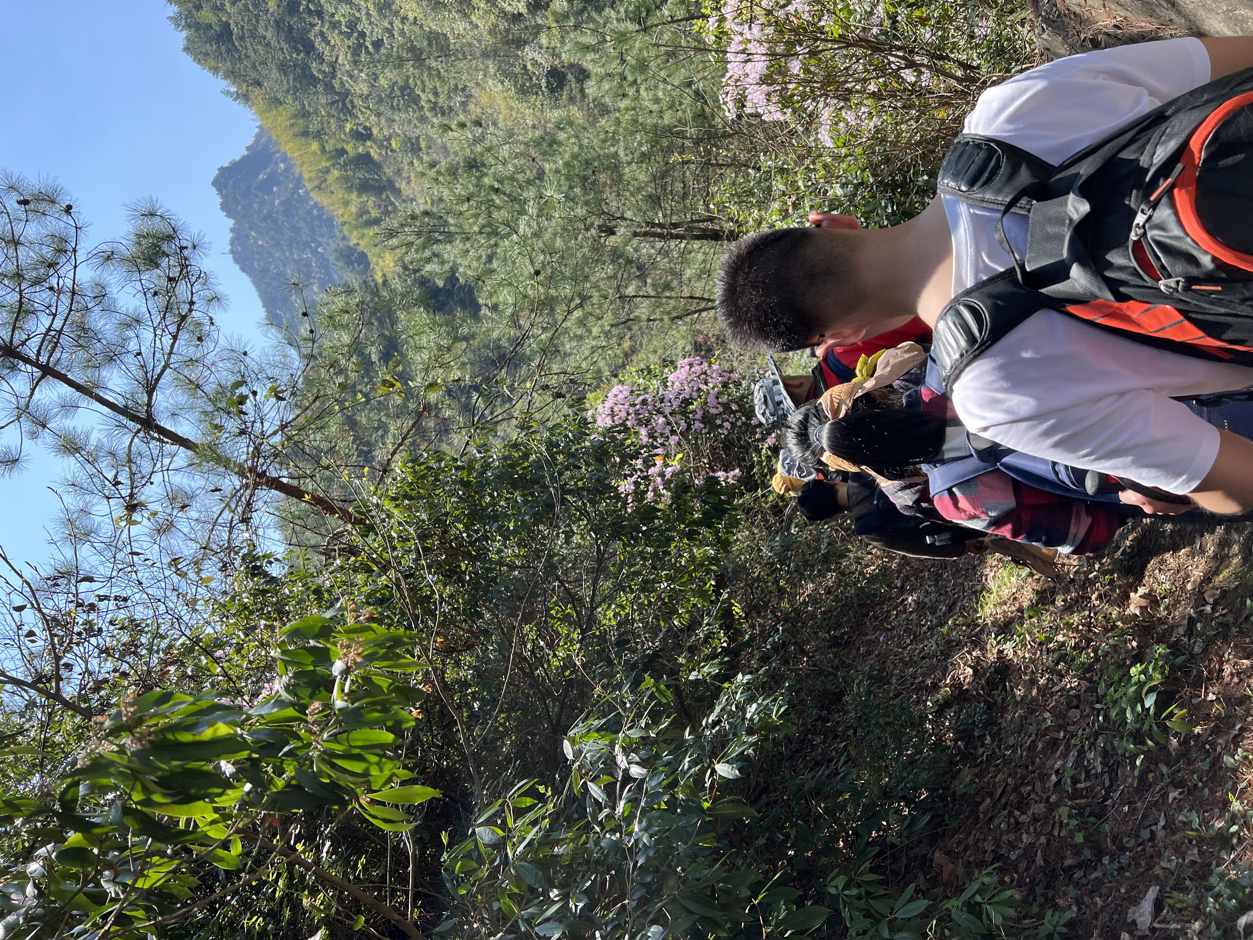 徽杭古道|徒步跨越两省，只为找寻大山里的熠熠星河-20230408~0409徽杭古道游记