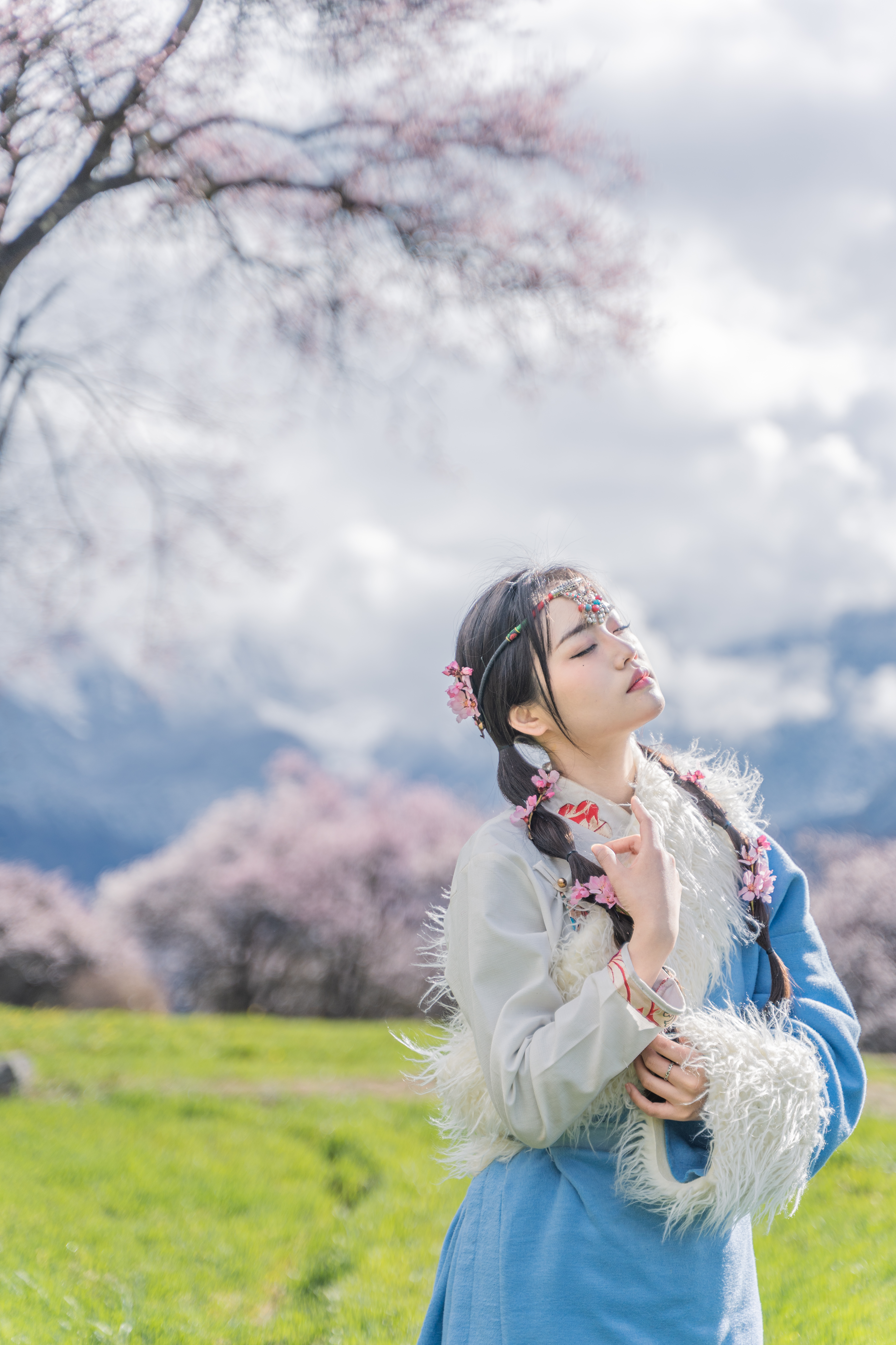 2023--川藏花开