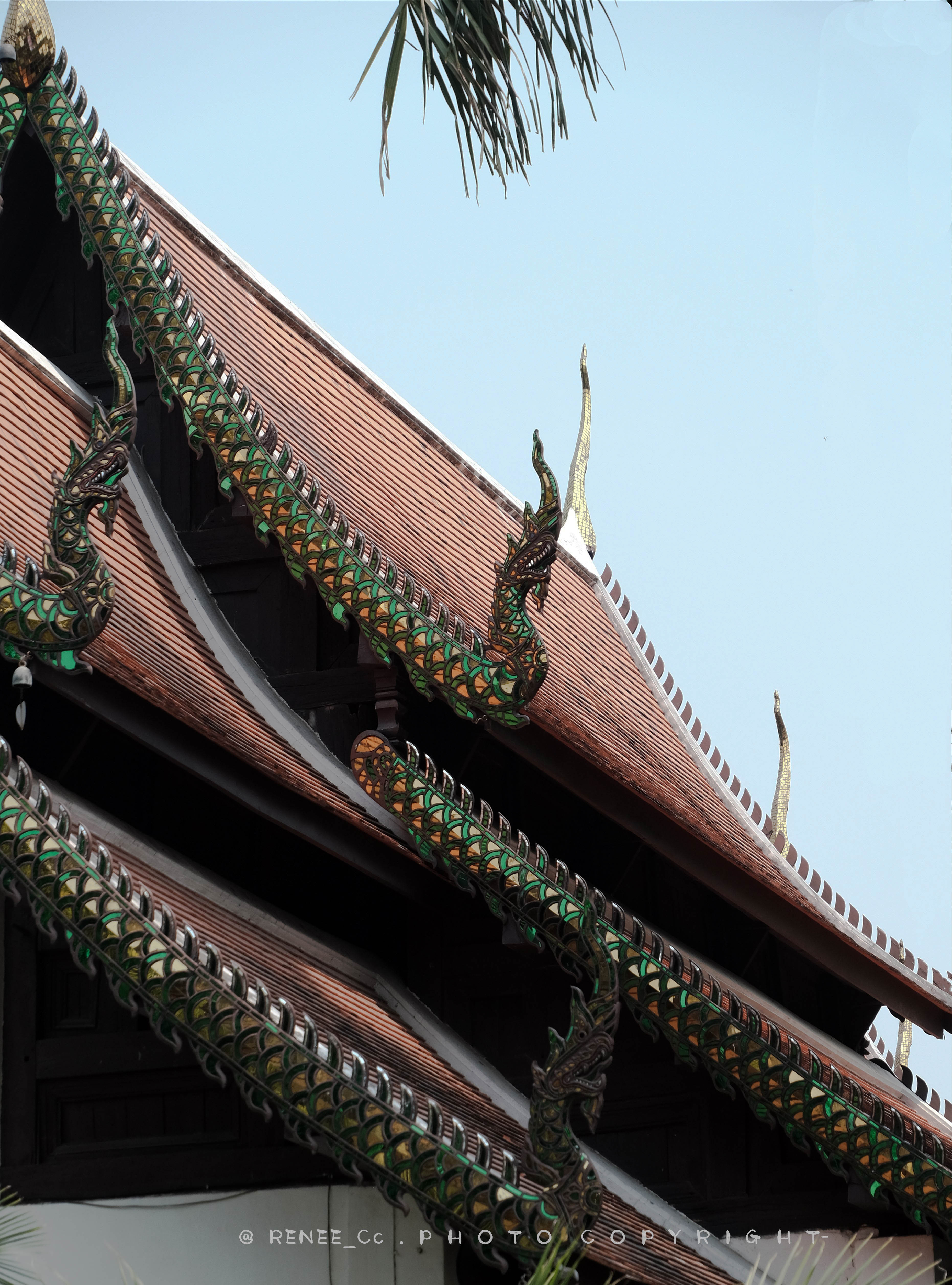 #攻略投稿#hello泰北,Tai久不见,是久别重逢后的欢喜