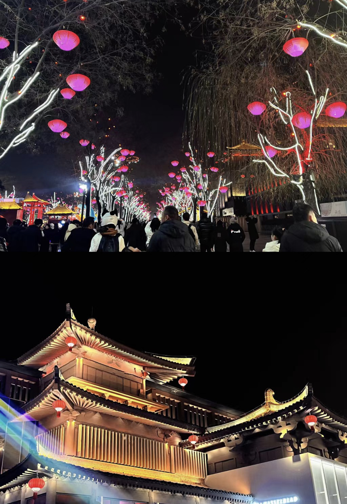 #游侠报道#维持热爱,奔赴山海,有机会一块旅游吧!