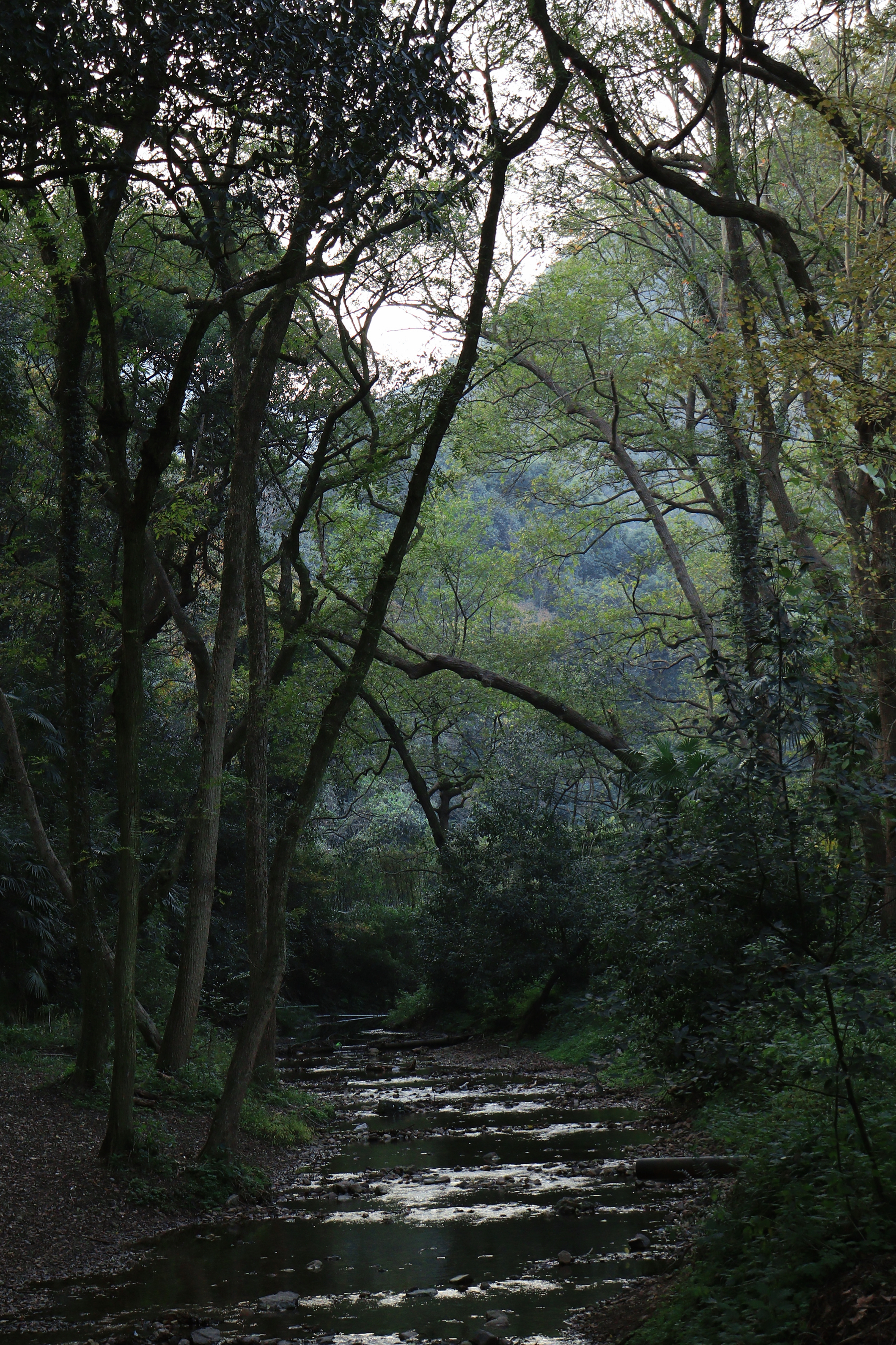 #游侠报道#维持热爱,奔赴山海,有机会一块旅游吧!
