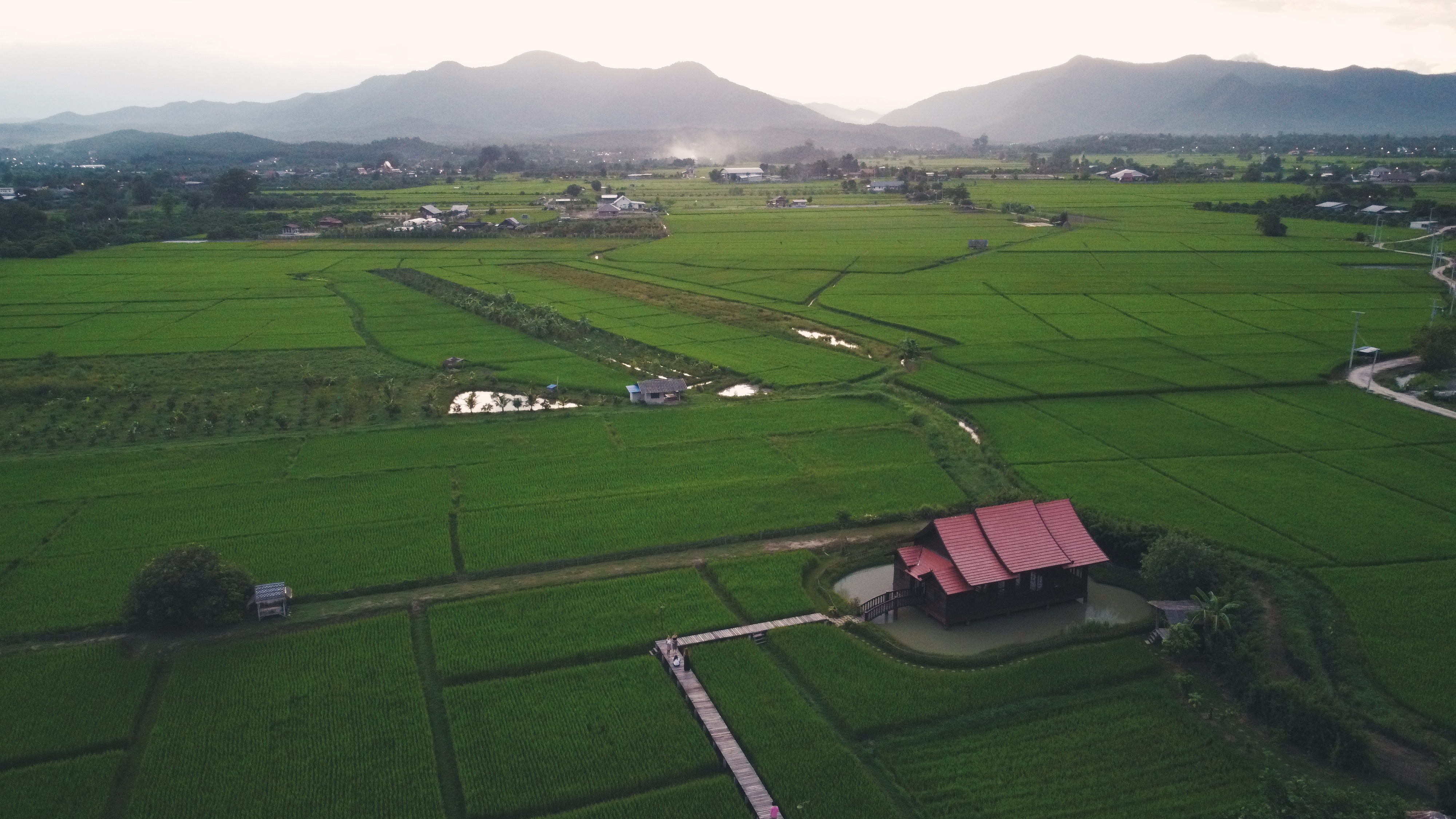 清迈自然旅修｜8月泰北，稻田静修中心沉浸式放松 #无处不瑜伽#