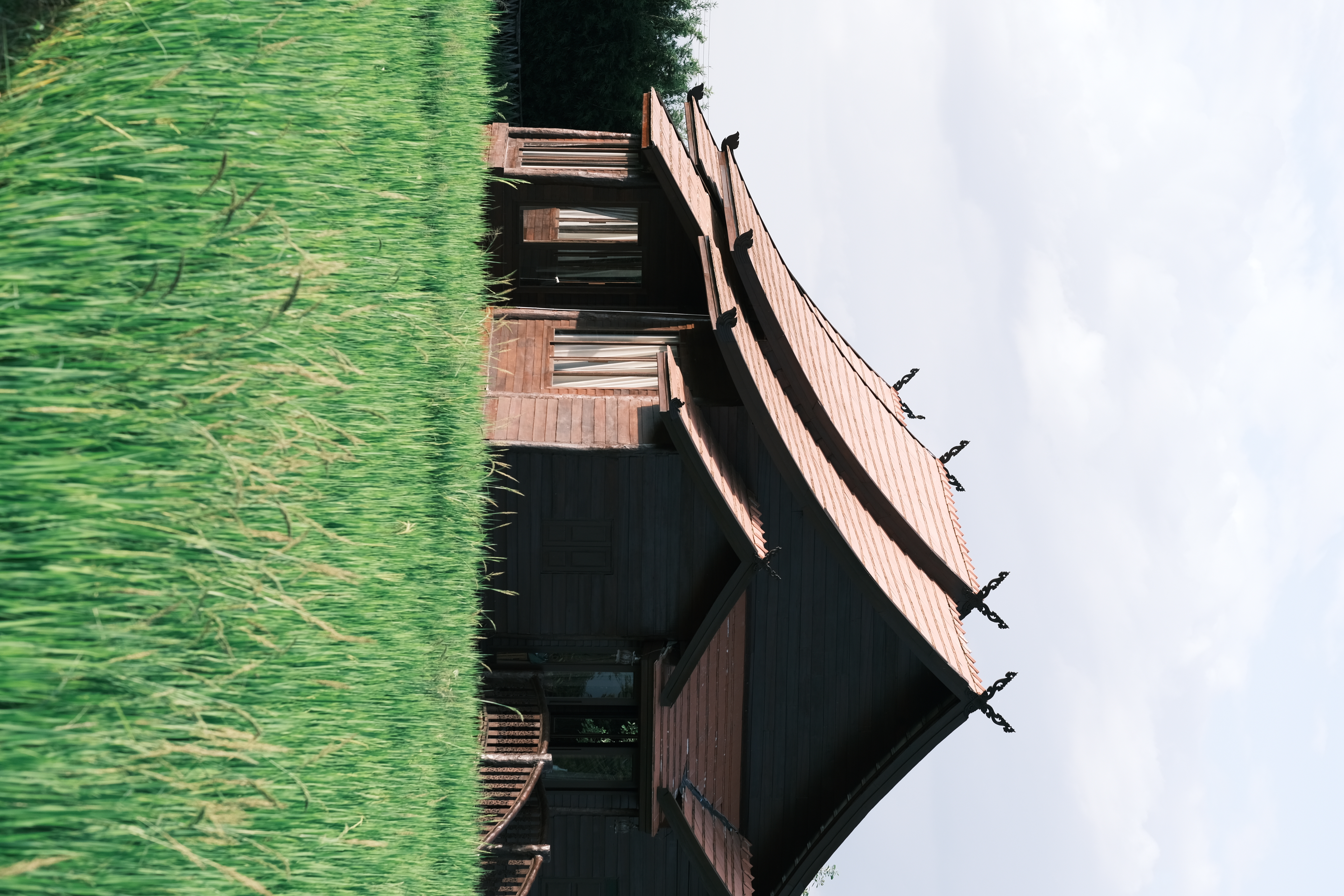 清迈自然旅修｜8月泰北，稻田静修中心沉浸式放松 #无处不瑜伽#