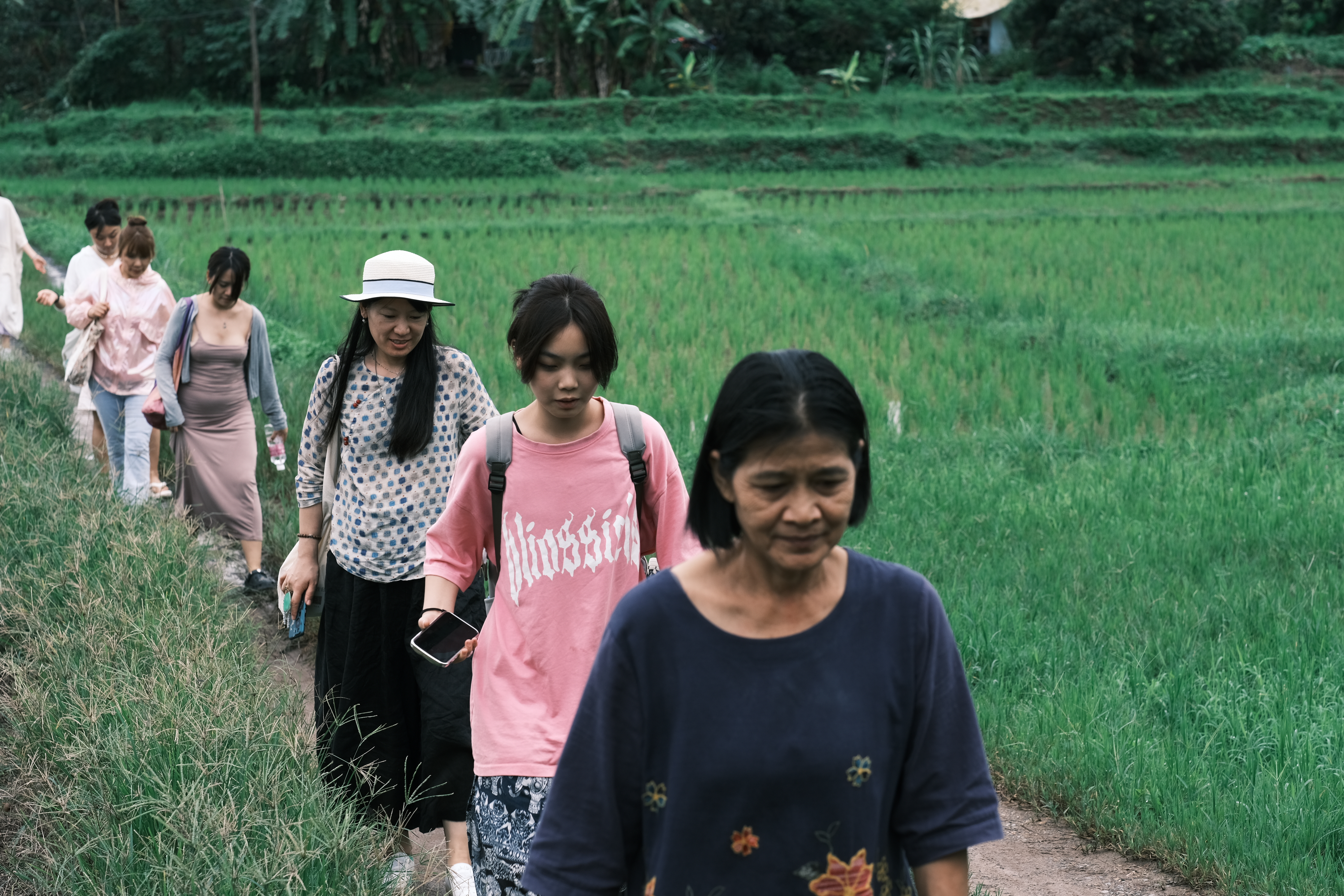 清迈自然旅修｜8月泰北，稻田静修中心沉浸式放松 #无处不瑜伽#