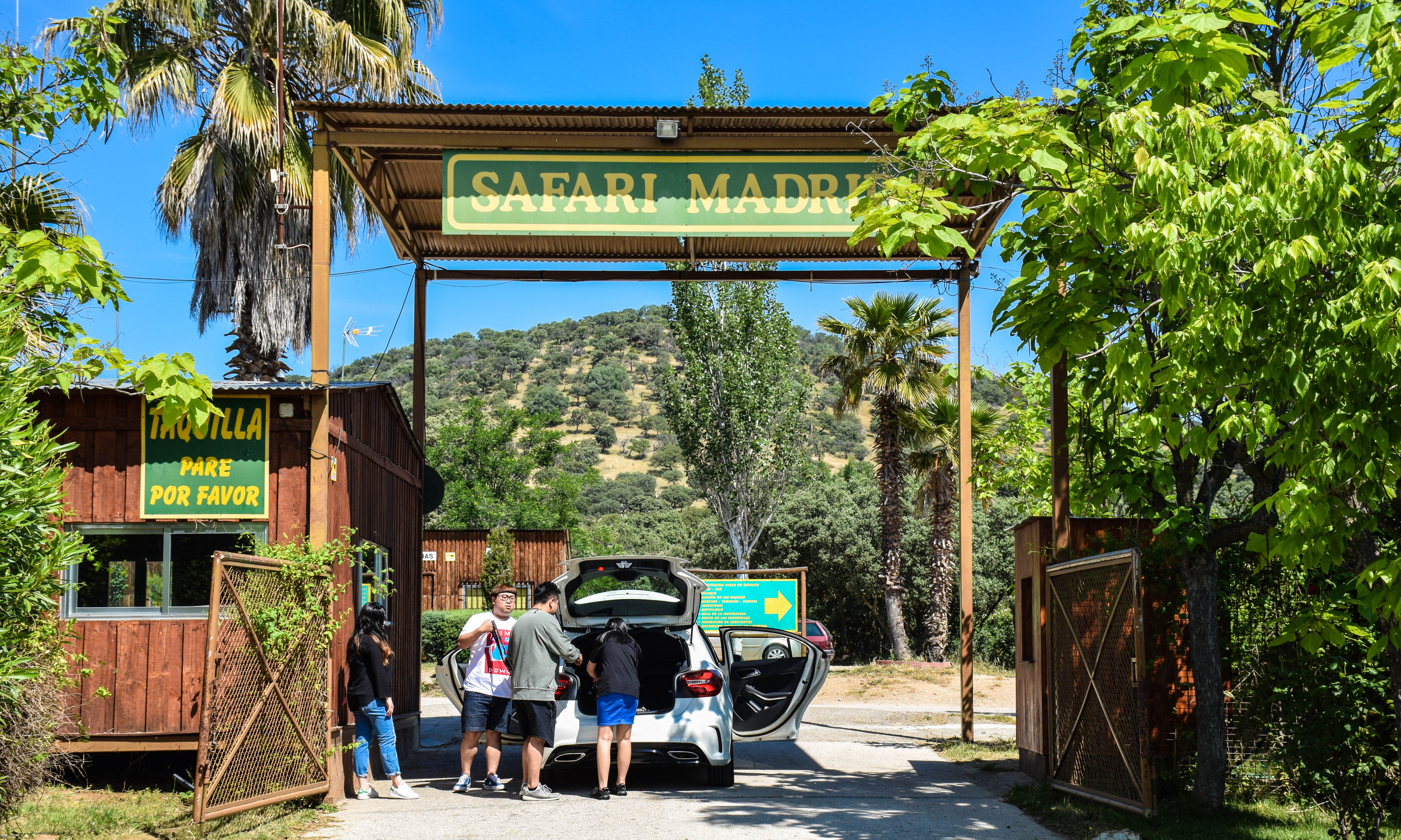 Safari野生动物园阿兰胡埃斯〡马德里周围1日游