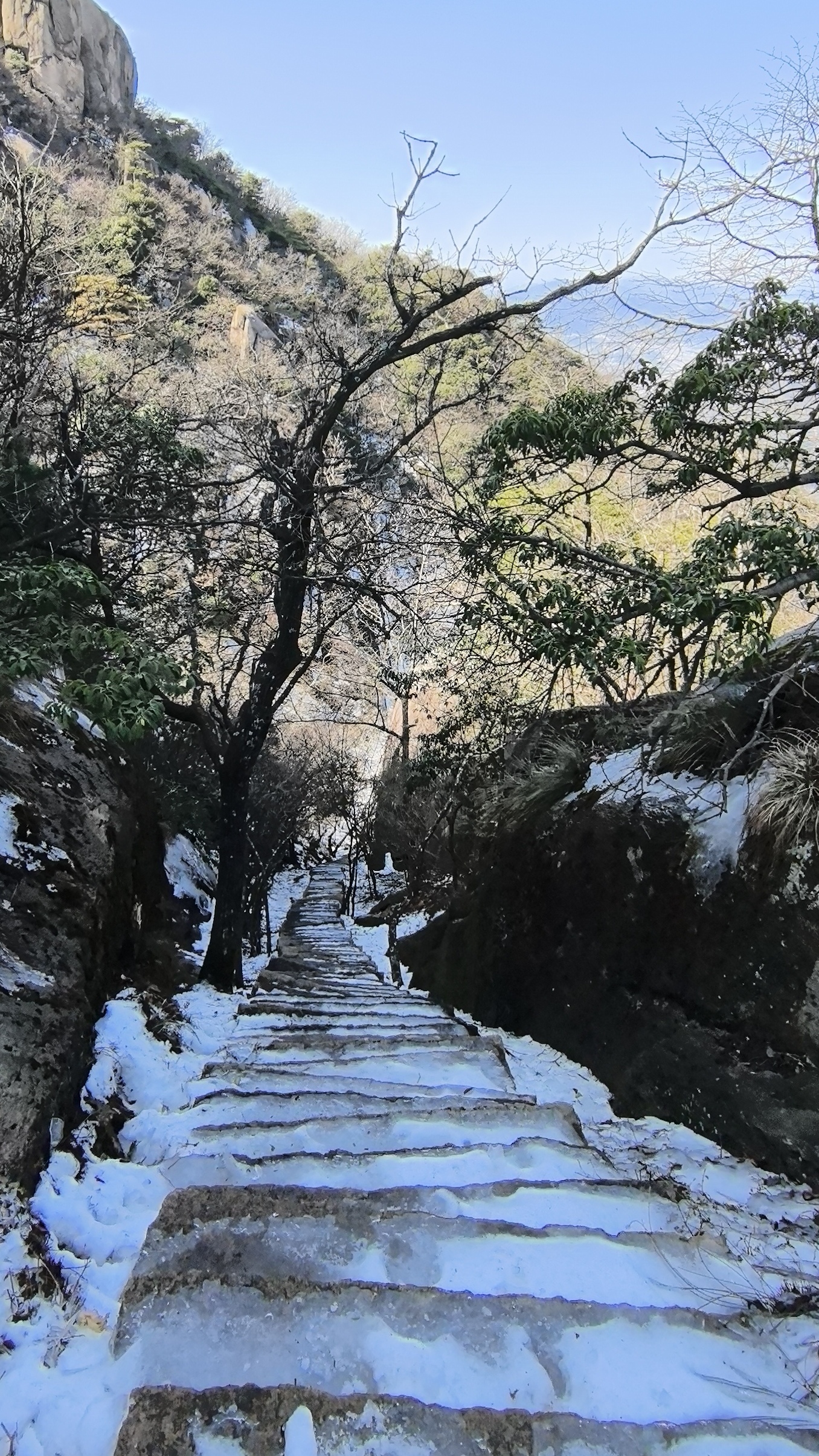 龙年新年九华山祈福之旅