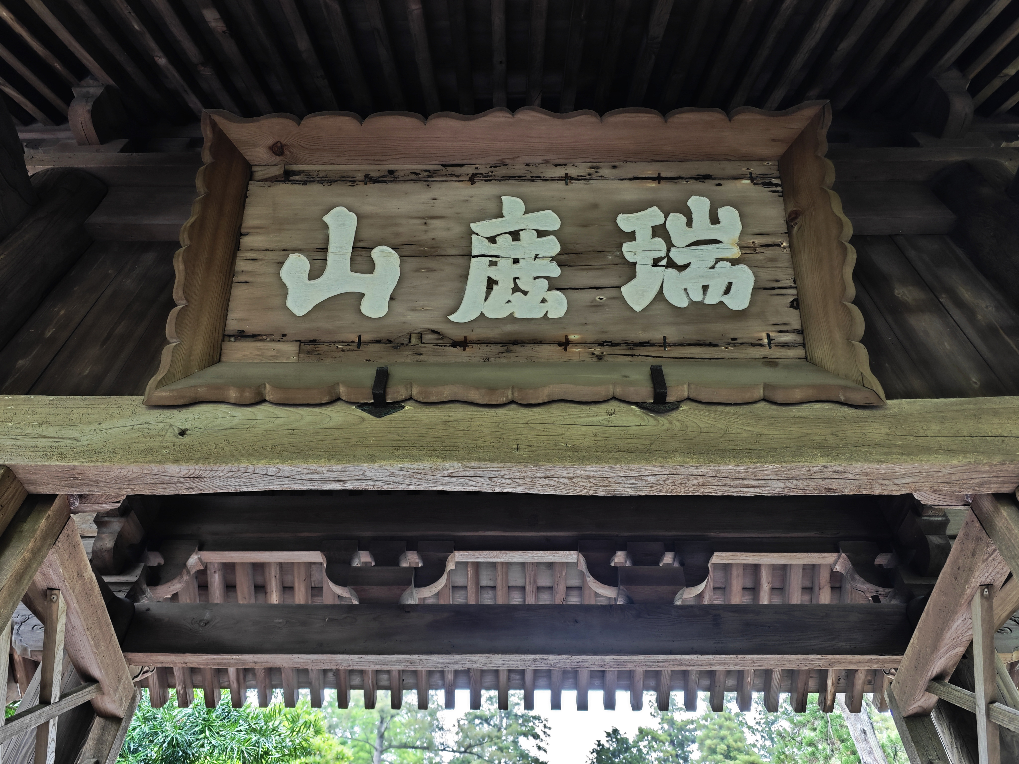 2024年春末的东京及周围自助游(九)