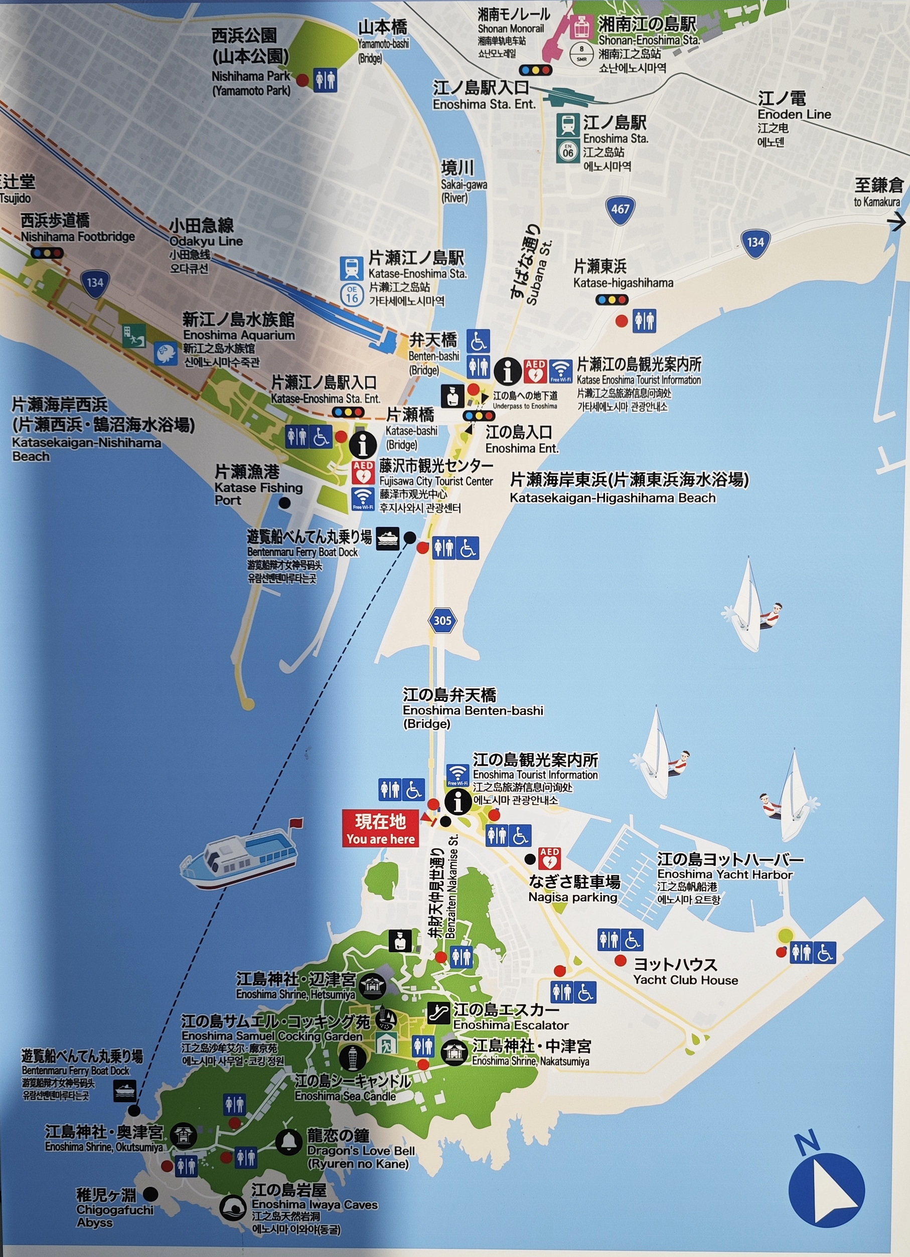 2024年春末的东京及周围自助游(九)