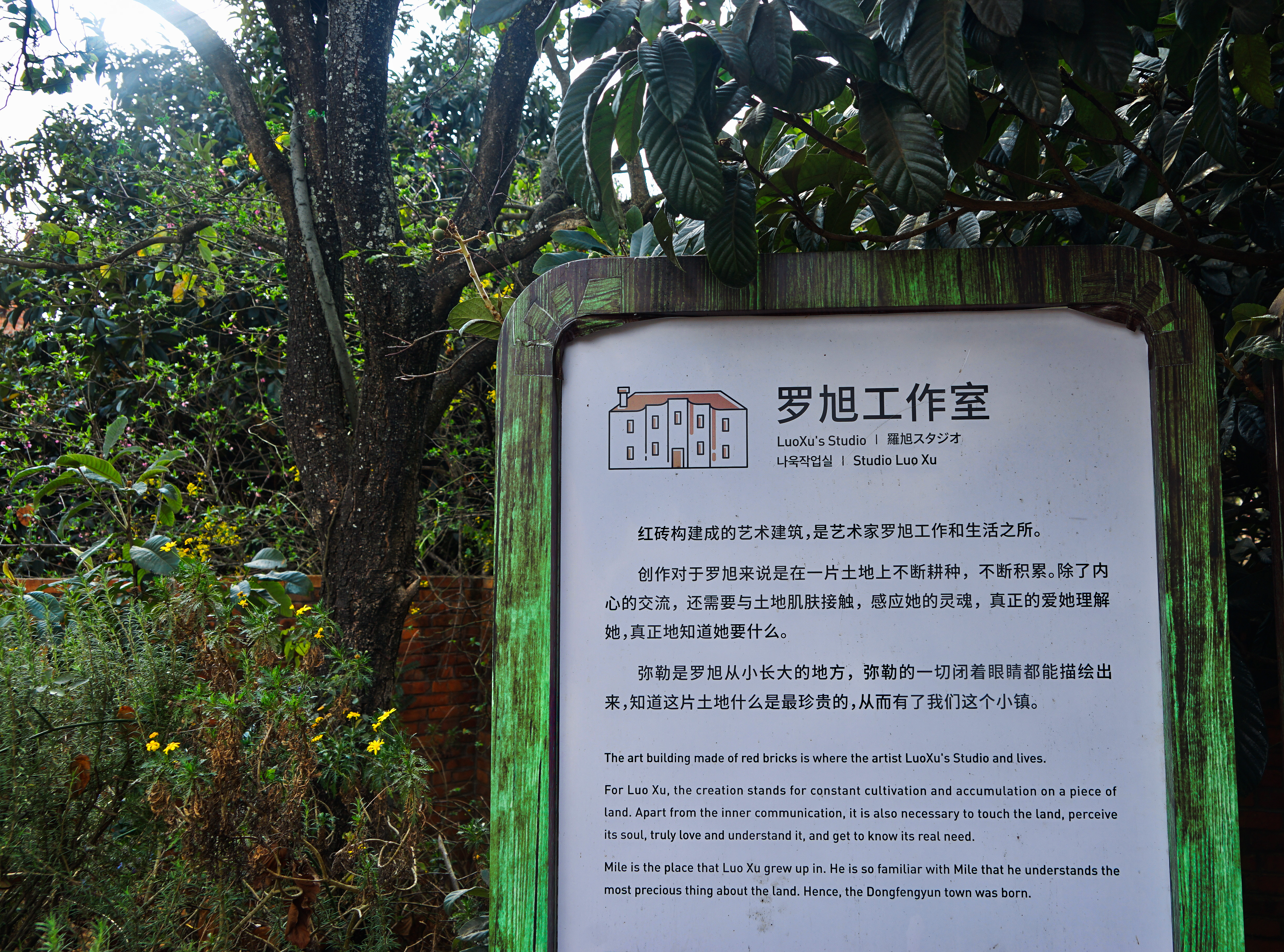 再游彩云之南 (六)