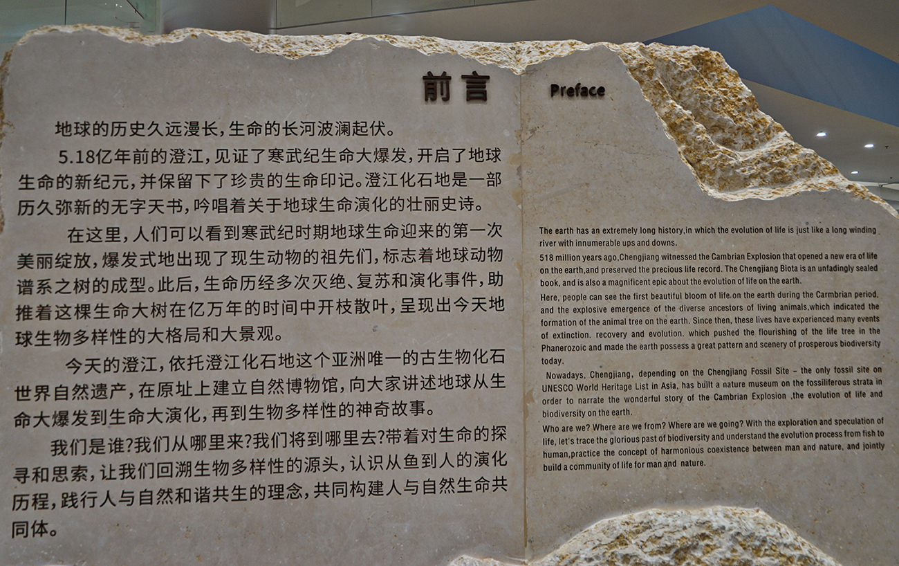再游彩云之南 (六)
