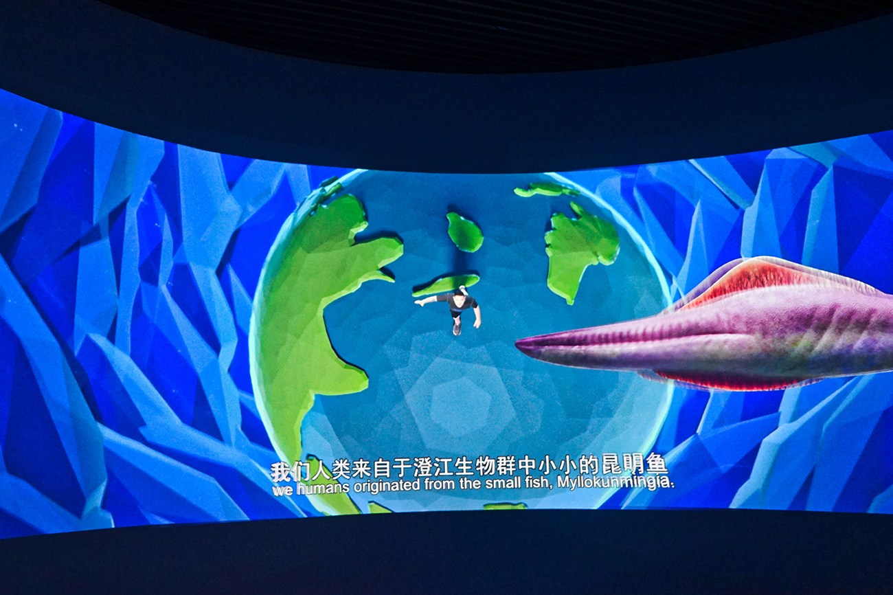 再游彩云之南 (六)