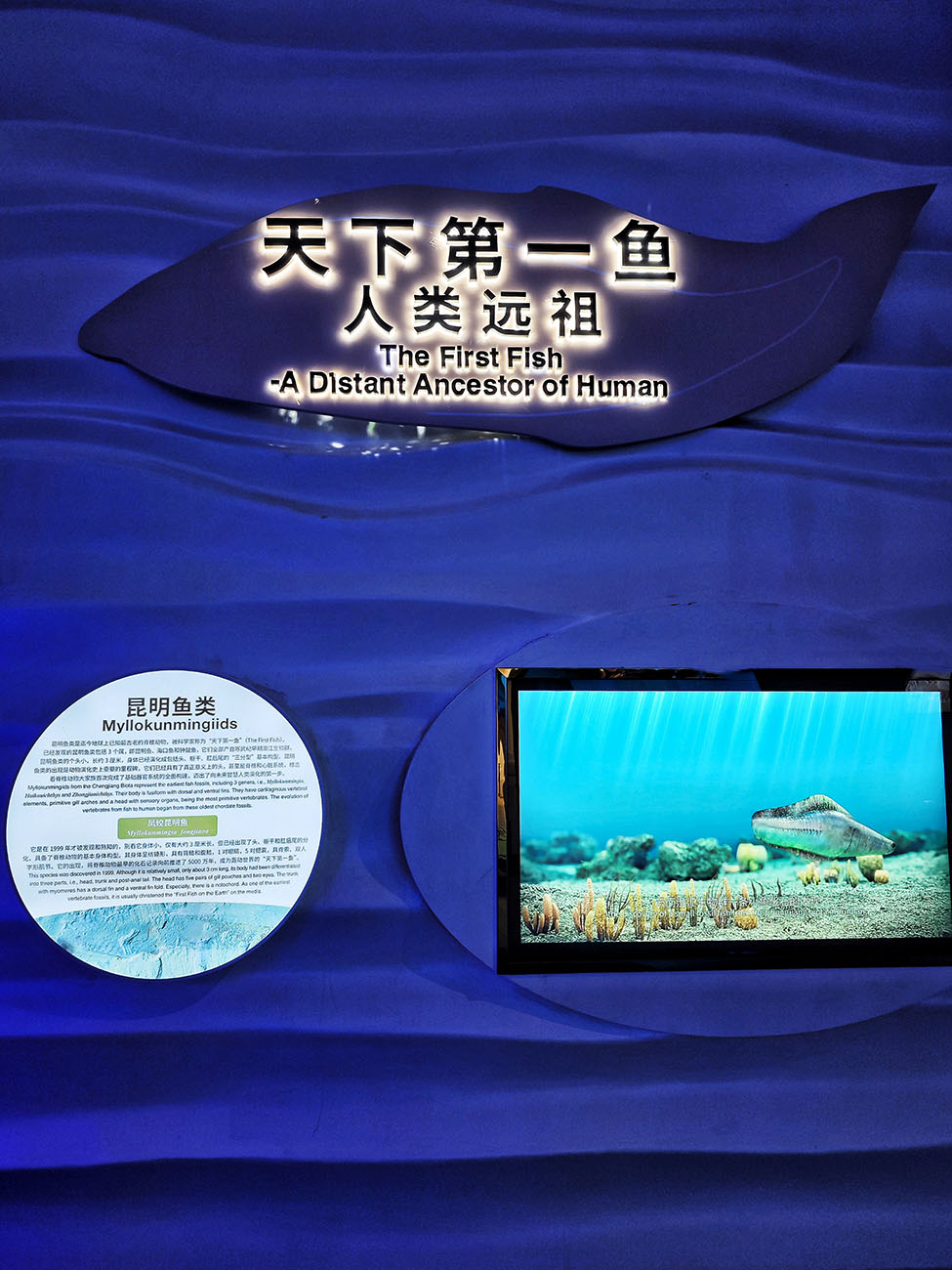 再游彩云之南 (六)