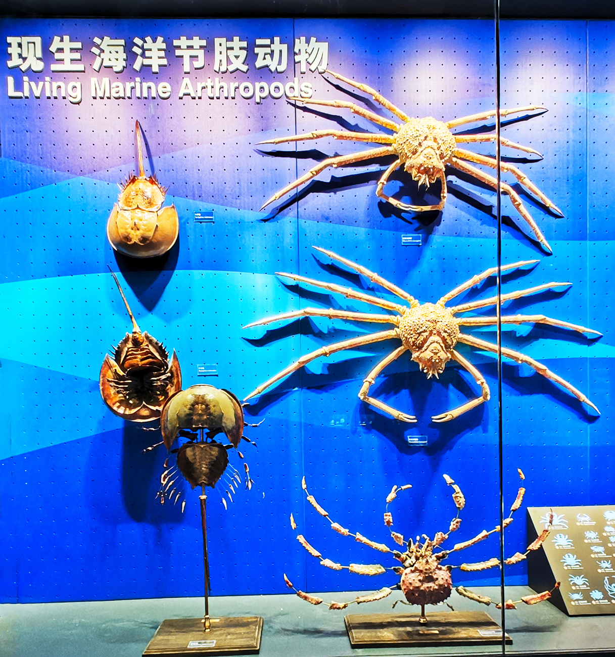 再游彩云之南 (六)