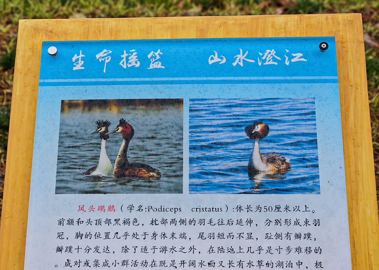 再游彩云之南 ( 七 )