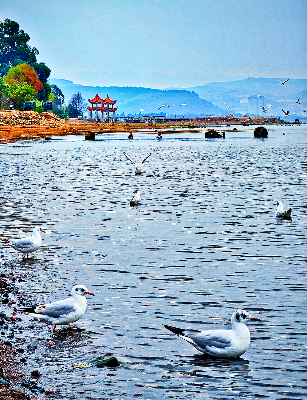 再游彩云之南 ( 七 )