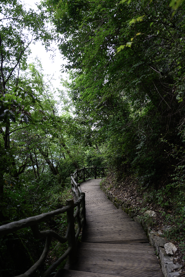 周末出逃:一次光雾山徒步 一次山中避暑