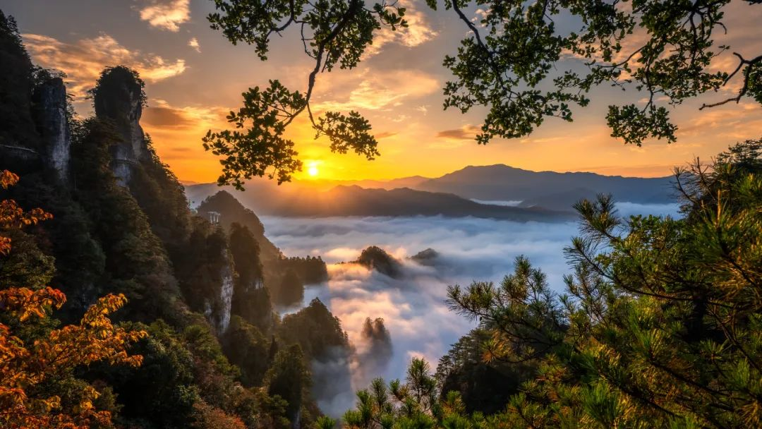 10月初游光雾山,带你见识真的的平分秋色