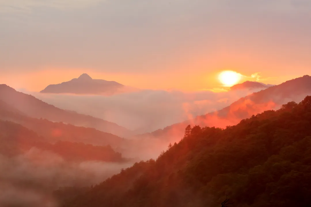 10月初游光雾山,带你见识真的的平分秋色