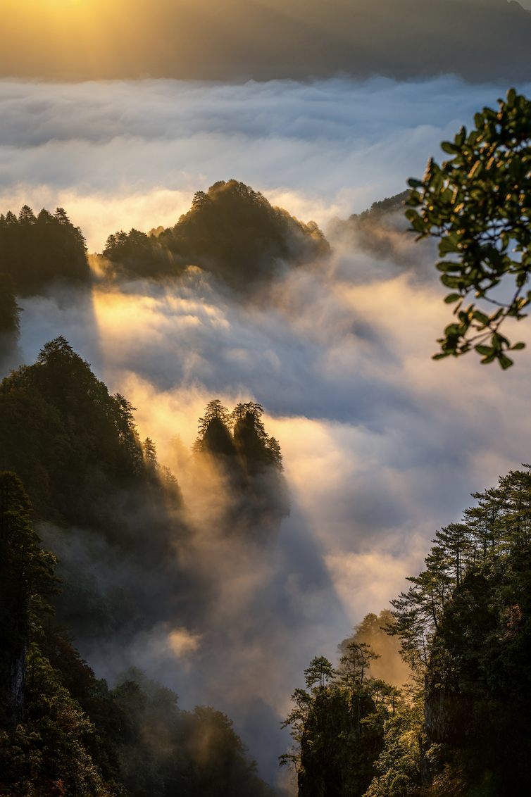 10月初游光雾山,带你见识真的的平分秋色