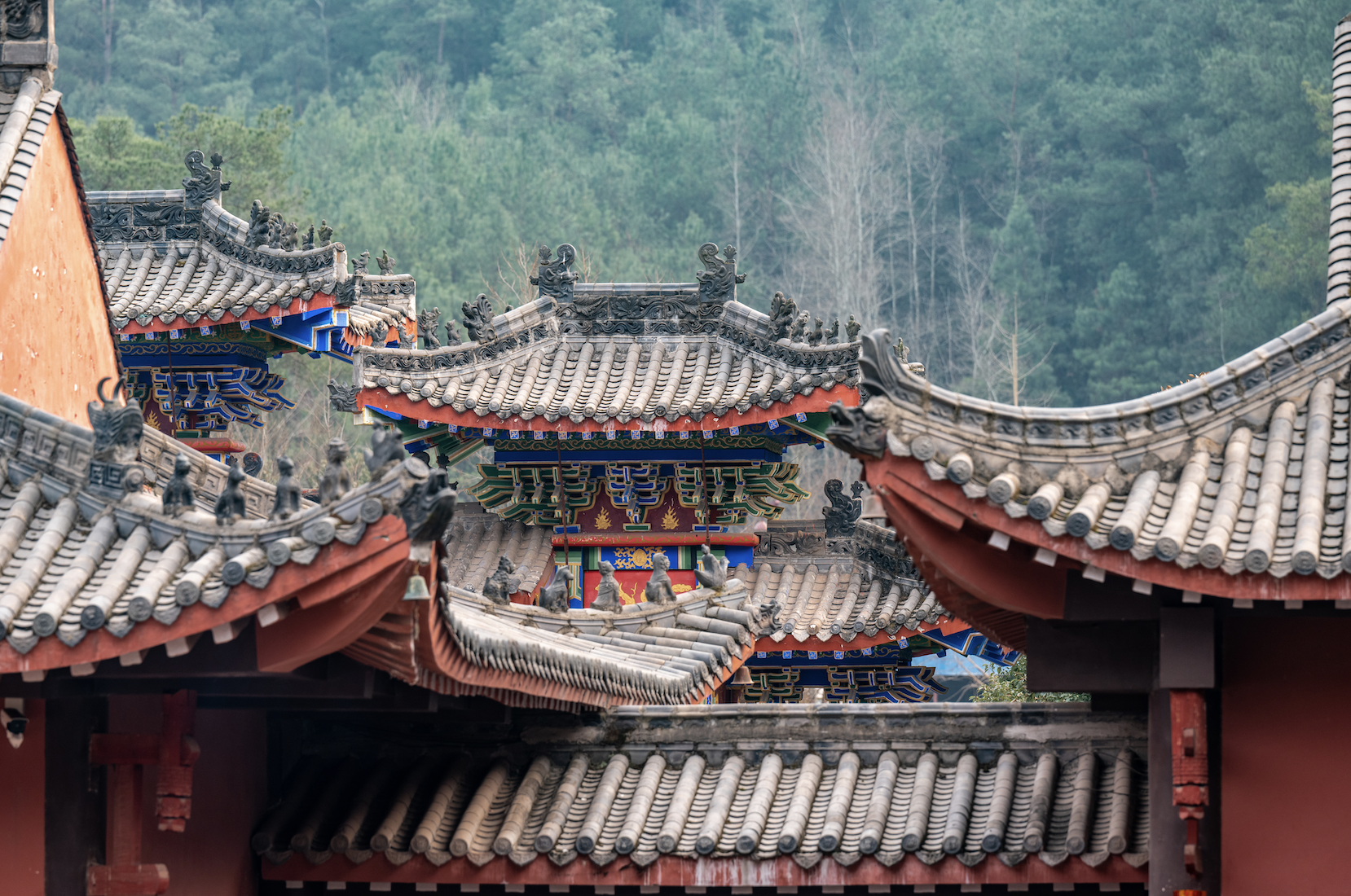 去不腻的昭化|一天行于山水古建之间