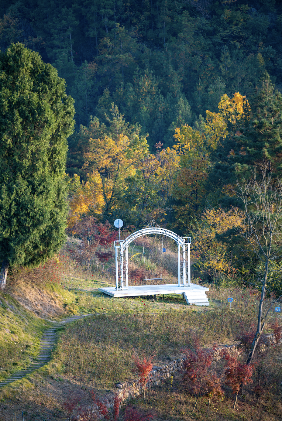 去不腻的昭化|一天行于山水古建之间