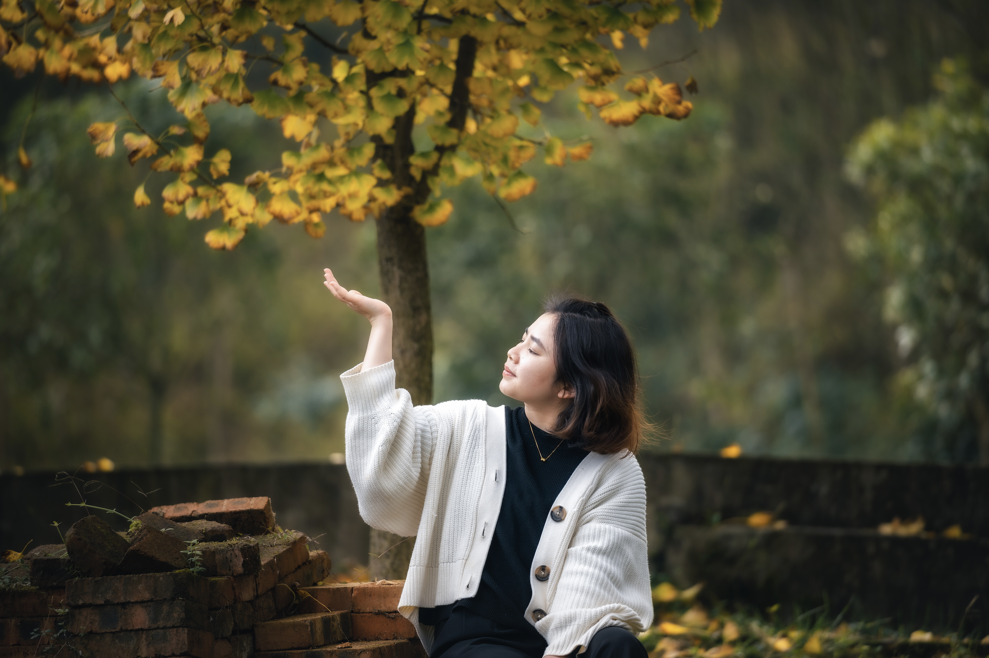 绵竹九龙|从童年到成人的视线转变