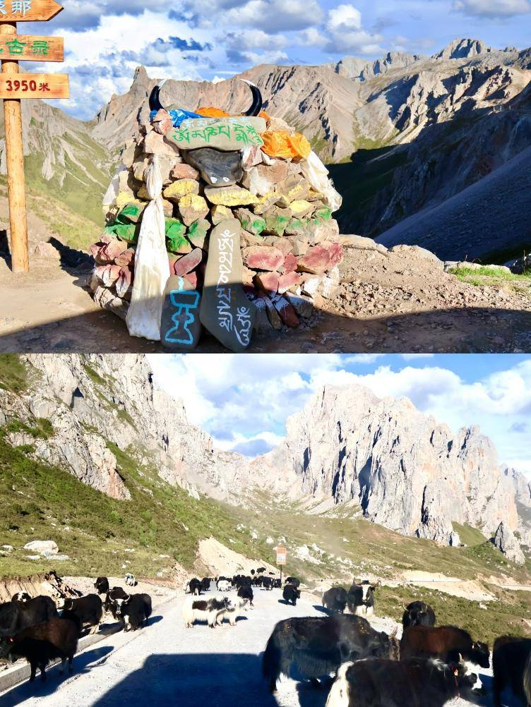 藏域旅游| 甘南至川西的6天5晚~