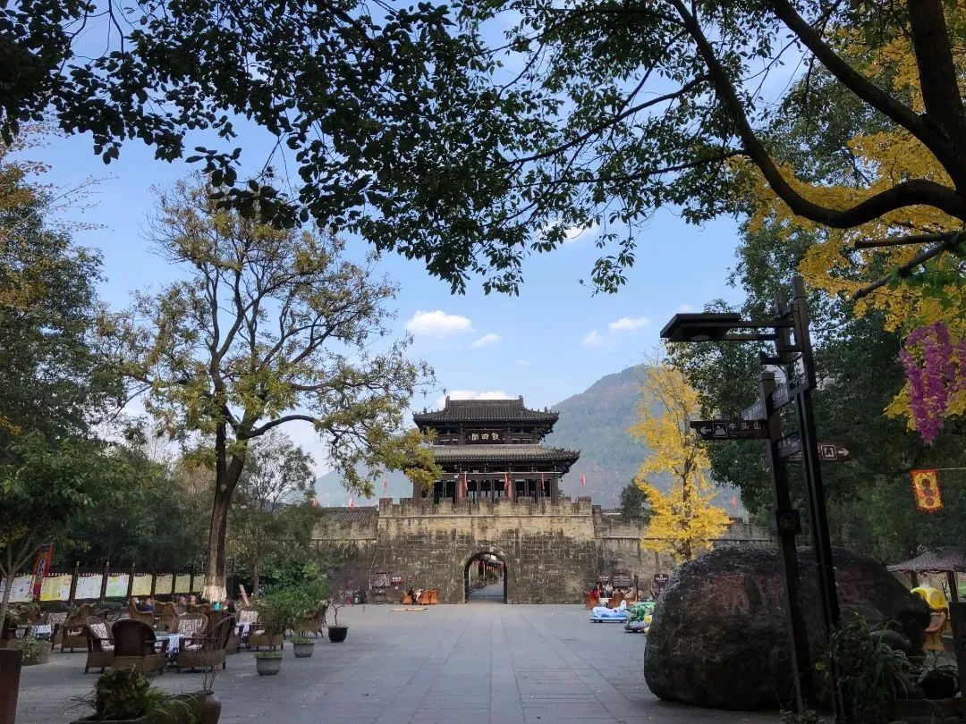 霜降后|在昭化怎么样开启一个深秋养生局!