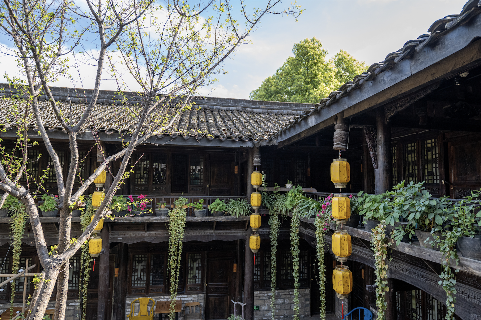霜降后|在昭化怎么样开启一个深秋养生局!