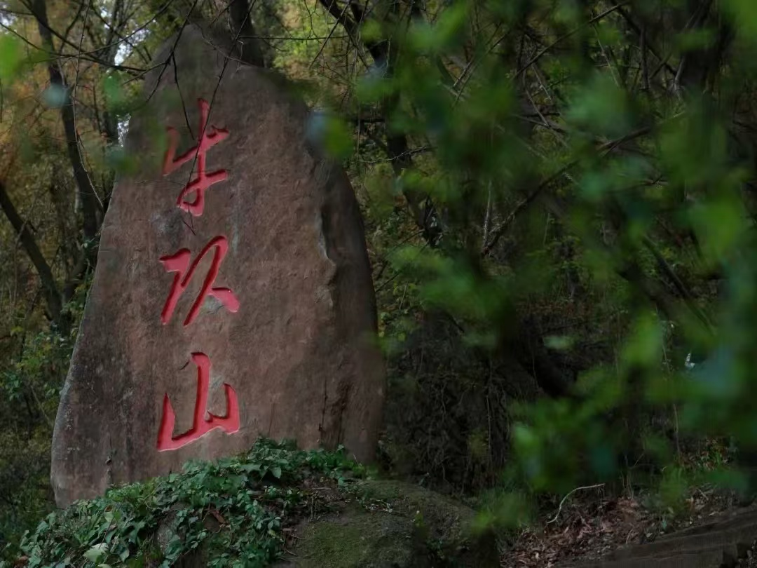 霜降后|在昭化怎么样开启一个深秋养生局!