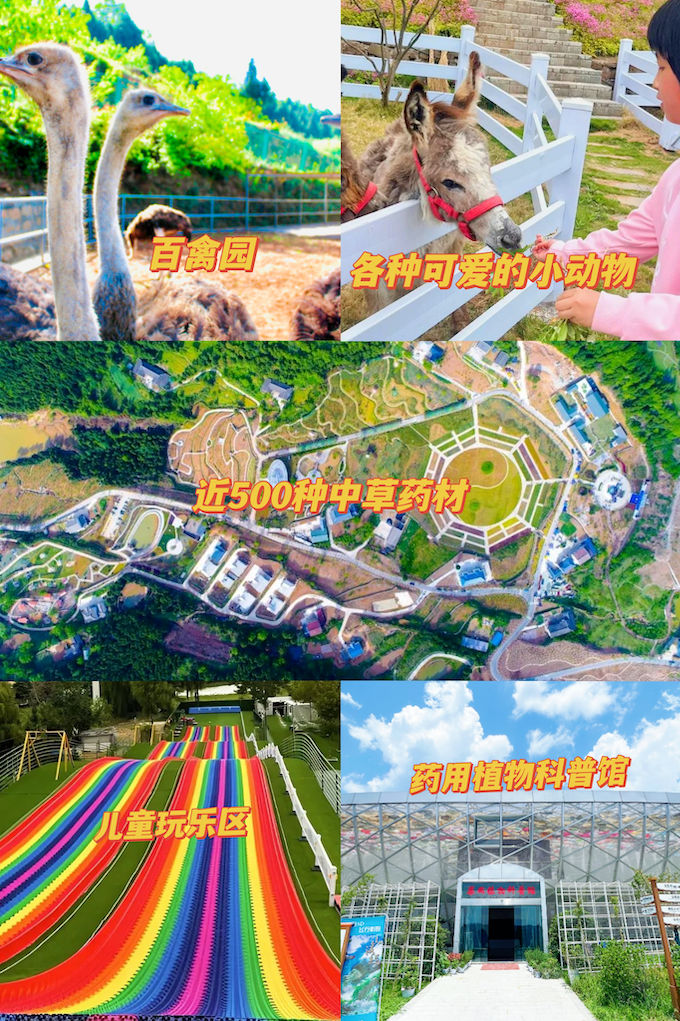 霜降后|在昭化怎么样开启一个深秋养生局!