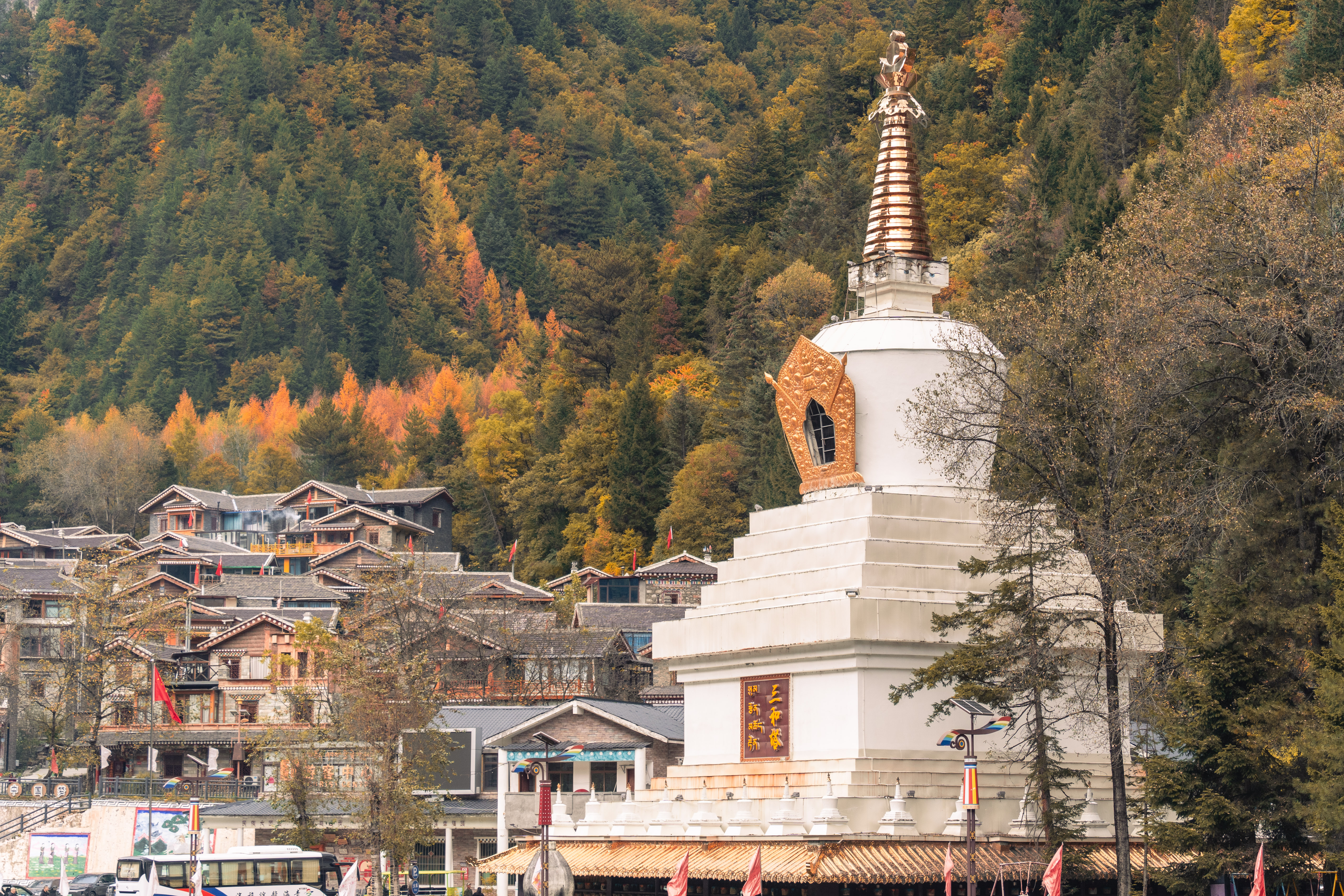 #攻略投稿#10.19~10.26九寨沟黄龙摄影小环线之旅:遇到人间仙境
