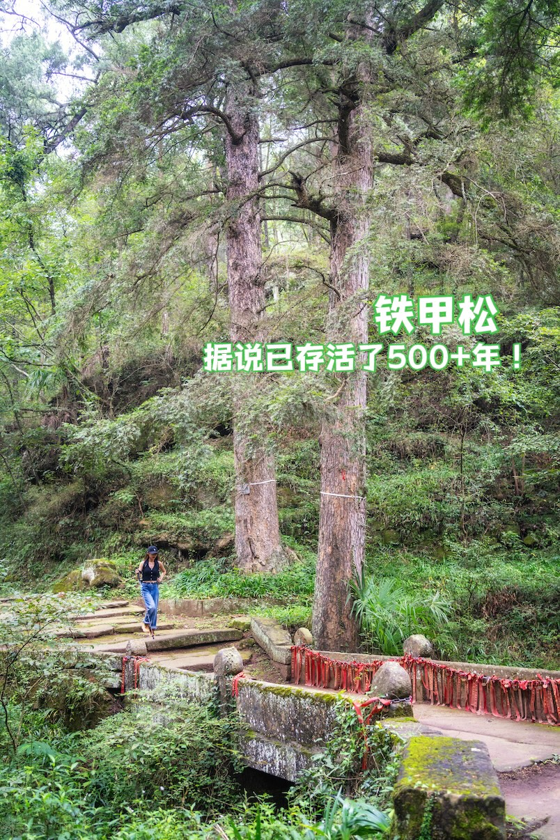 古蜀道+古城|记我在昭化见到的秋韵
