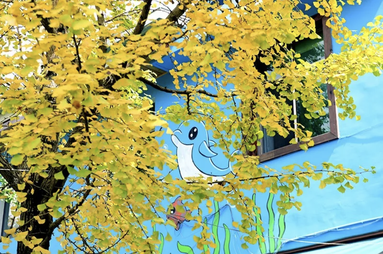 藏不住了!绵竹这三个地方深秋必去!