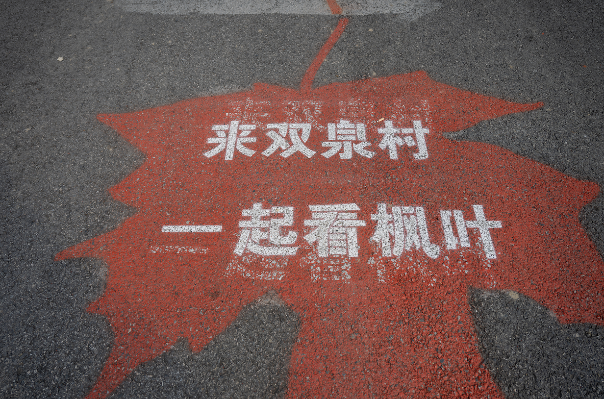 藏不住了!绵竹这三个地方深秋必去!