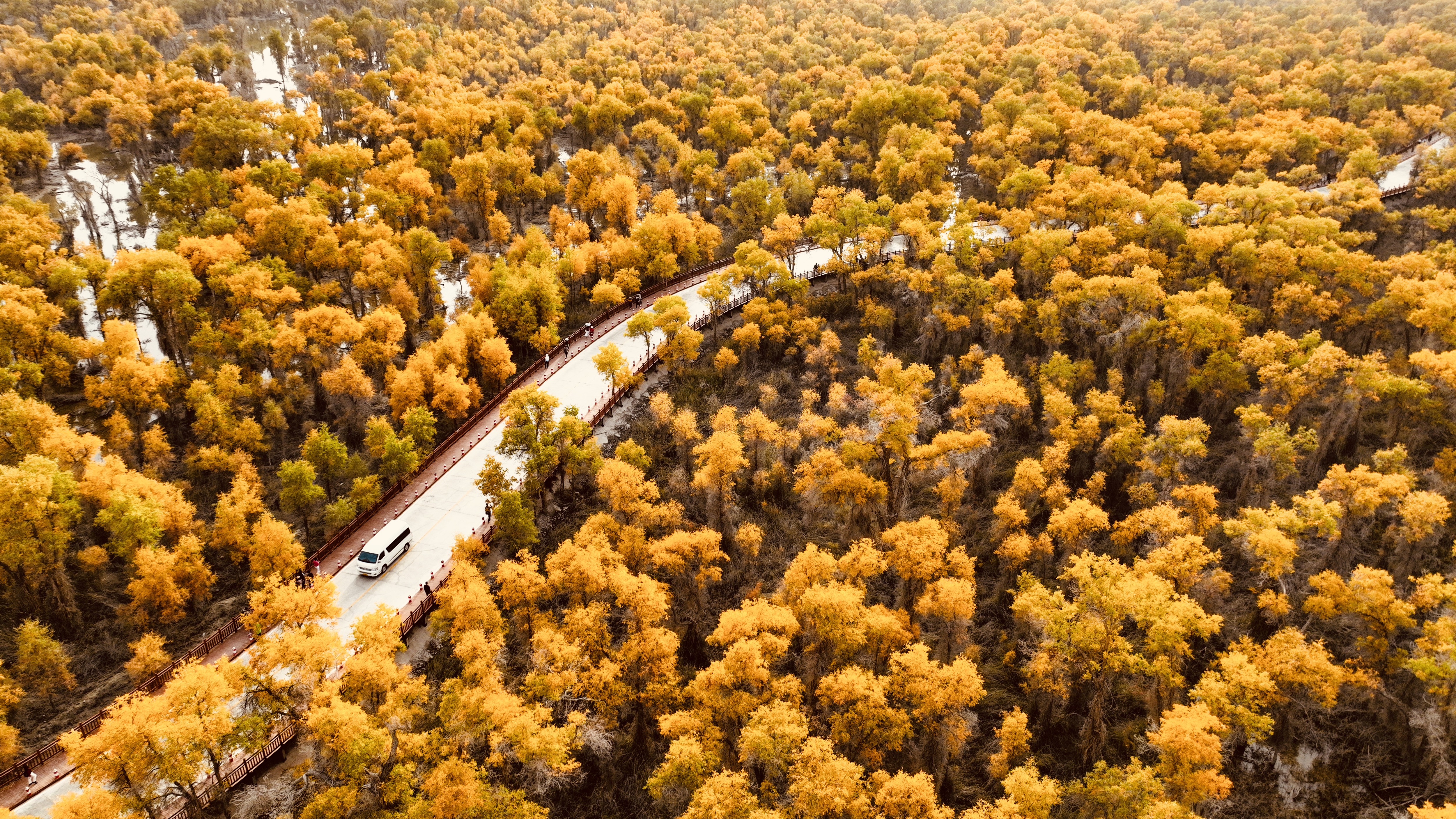 每一段旅程,都是新的生活(2024金秋南疆摄影)
