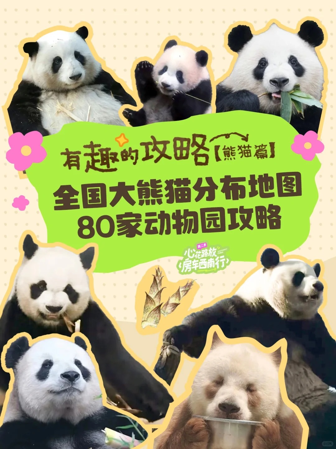 撸猫地图丨生活清单+1去看一次熊猫